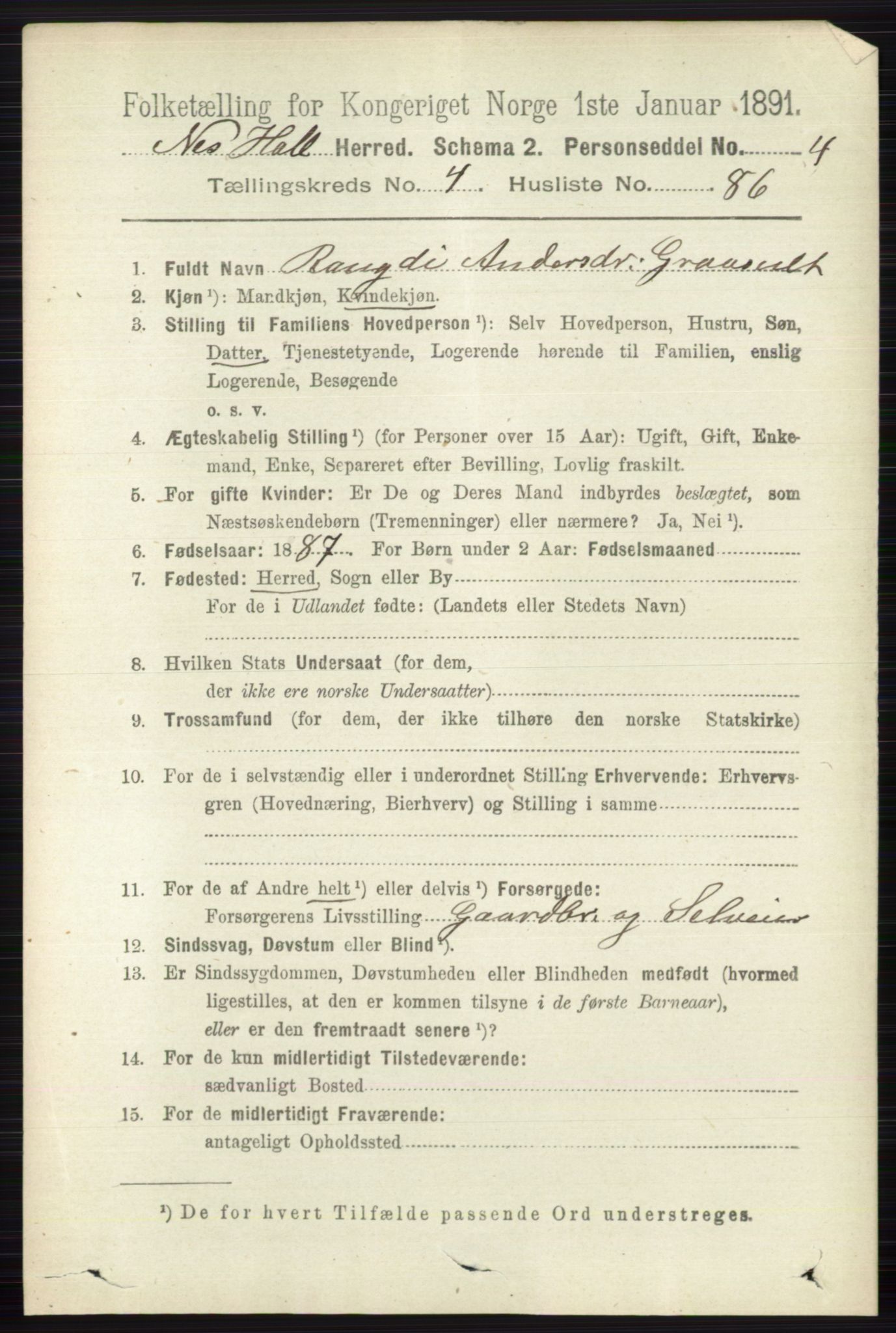 RA, 1891 census for 0616 Nes, 1891, p. 2570