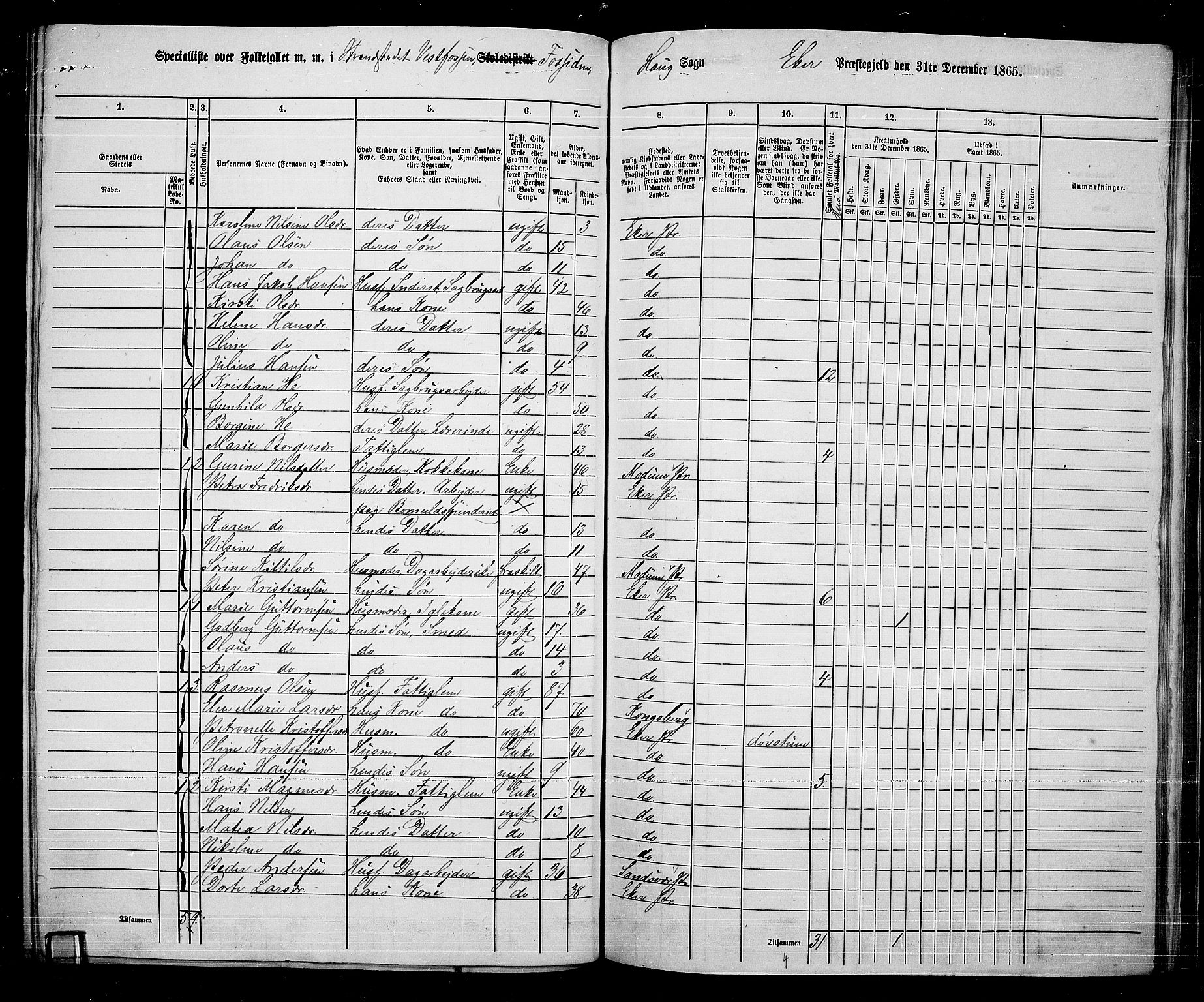 RA, 1865 census for Eiker, 1865, p. 226