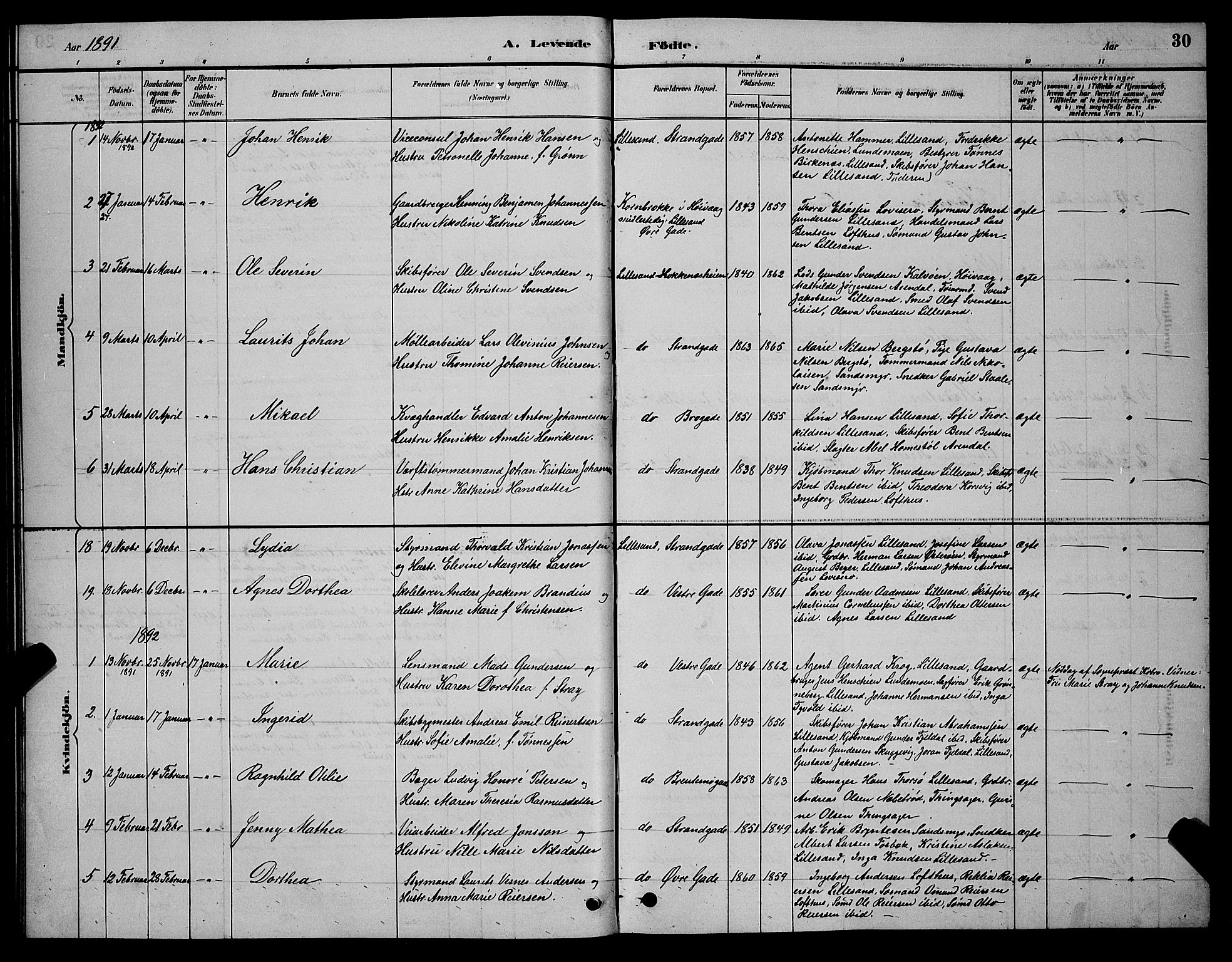 Vestre Moland sokneprestkontor, AV/SAK-1111-0046/F/Fb/Fba/L0001: Parish register (copy) no. B 1, 1884-1903, p. 30