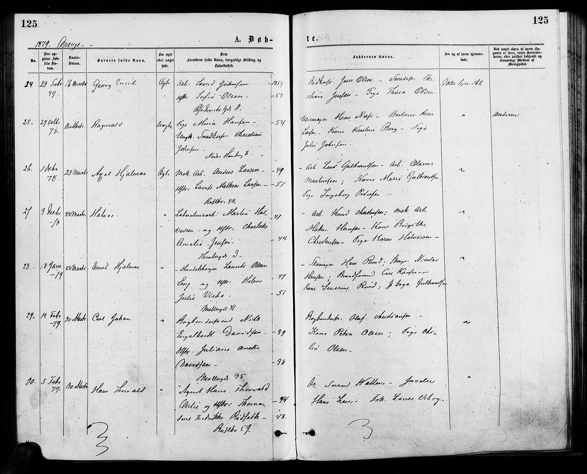 Trefoldighet prestekontor Kirkebøker, AV/SAO-A-10882/F/Fa/L0004: Parish register (official) no. I 4, 1876-1880, p. 125