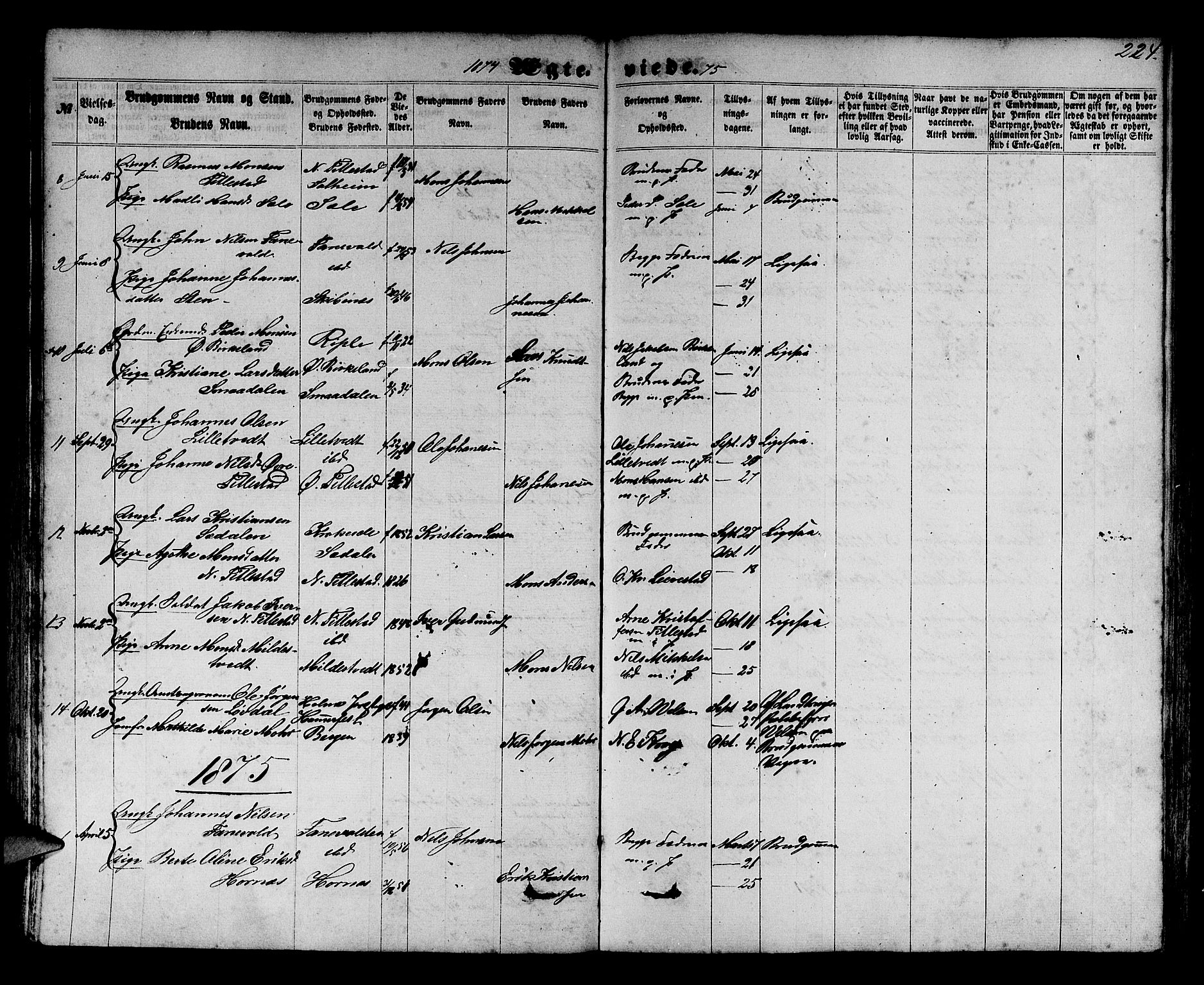 Fana Sokneprestembete, SAB/A-75101/H/Hab/Habb/L0003: Parish register (copy) no. B 3, 1861-1888, p. 224