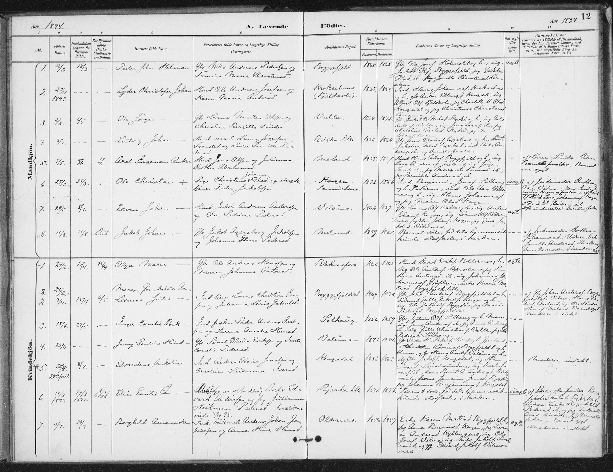 Ministerialprotokoller, klokkerbøker og fødselsregistre - Nordland, SAT/A-1459/826/L0380: Parish register (official) no. 826A03, 1891-1911, p. 12