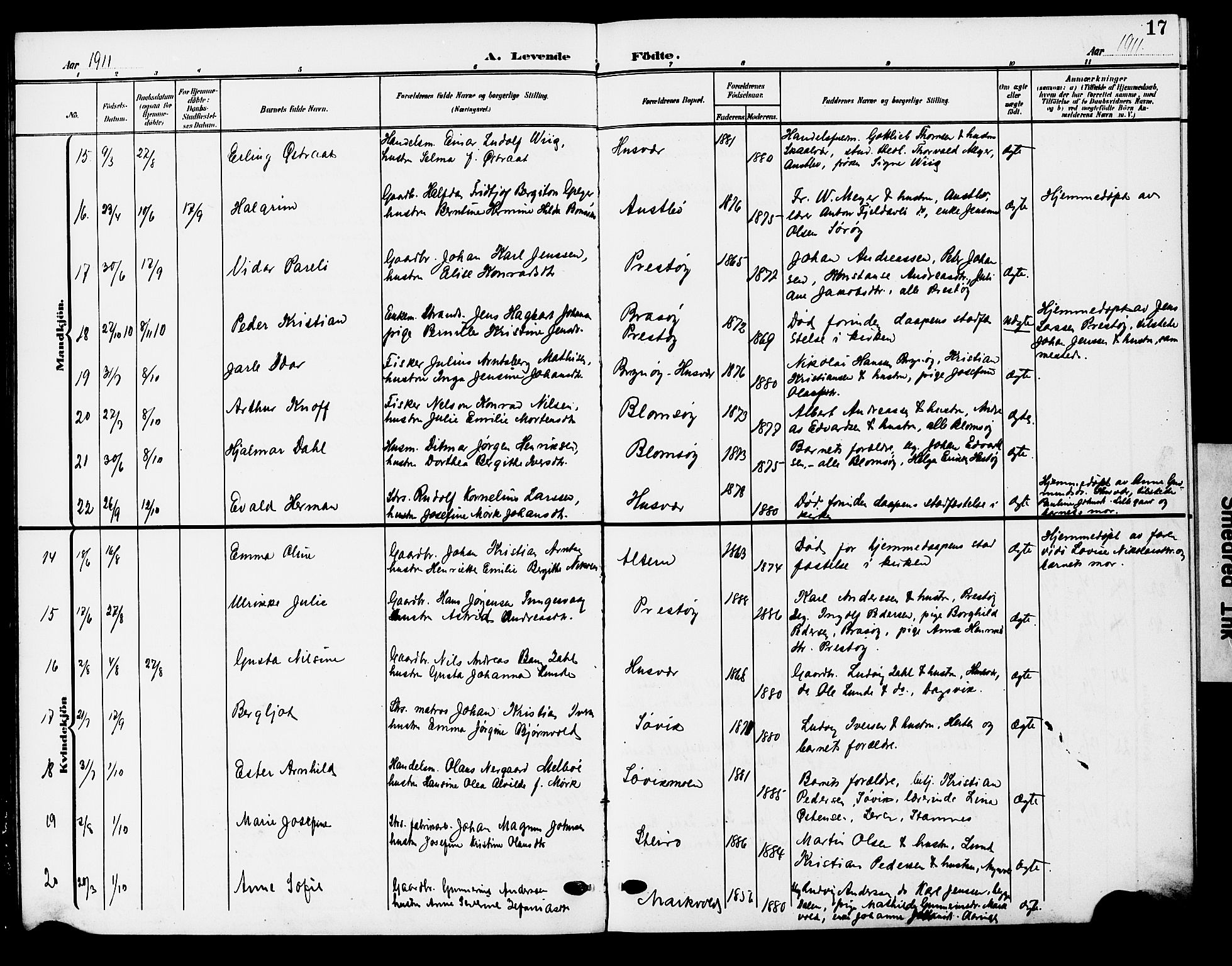 Ministerialprotokoller, klokkerbøker og fødselsregistre - Nordland, AV/SAT-A-1459/830/L0464: Parish register (copy) no. 830C06, 1906-1925, p. 17