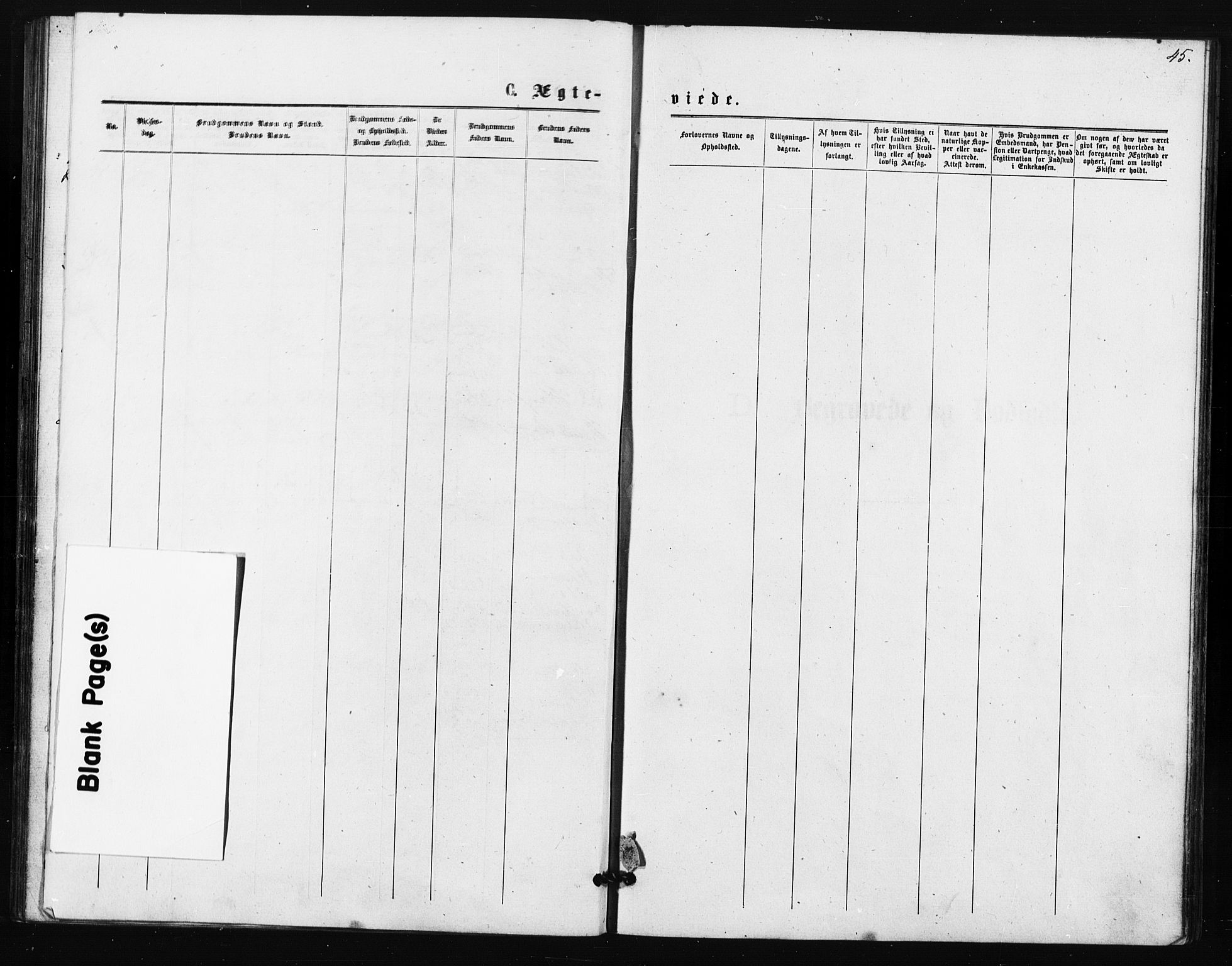 Ullensaker prestekontor Kirkebøker, SAO/A-10236a/F/Fa/L0018: Parish register (official) no. I 18, 1876-1877, p. 45