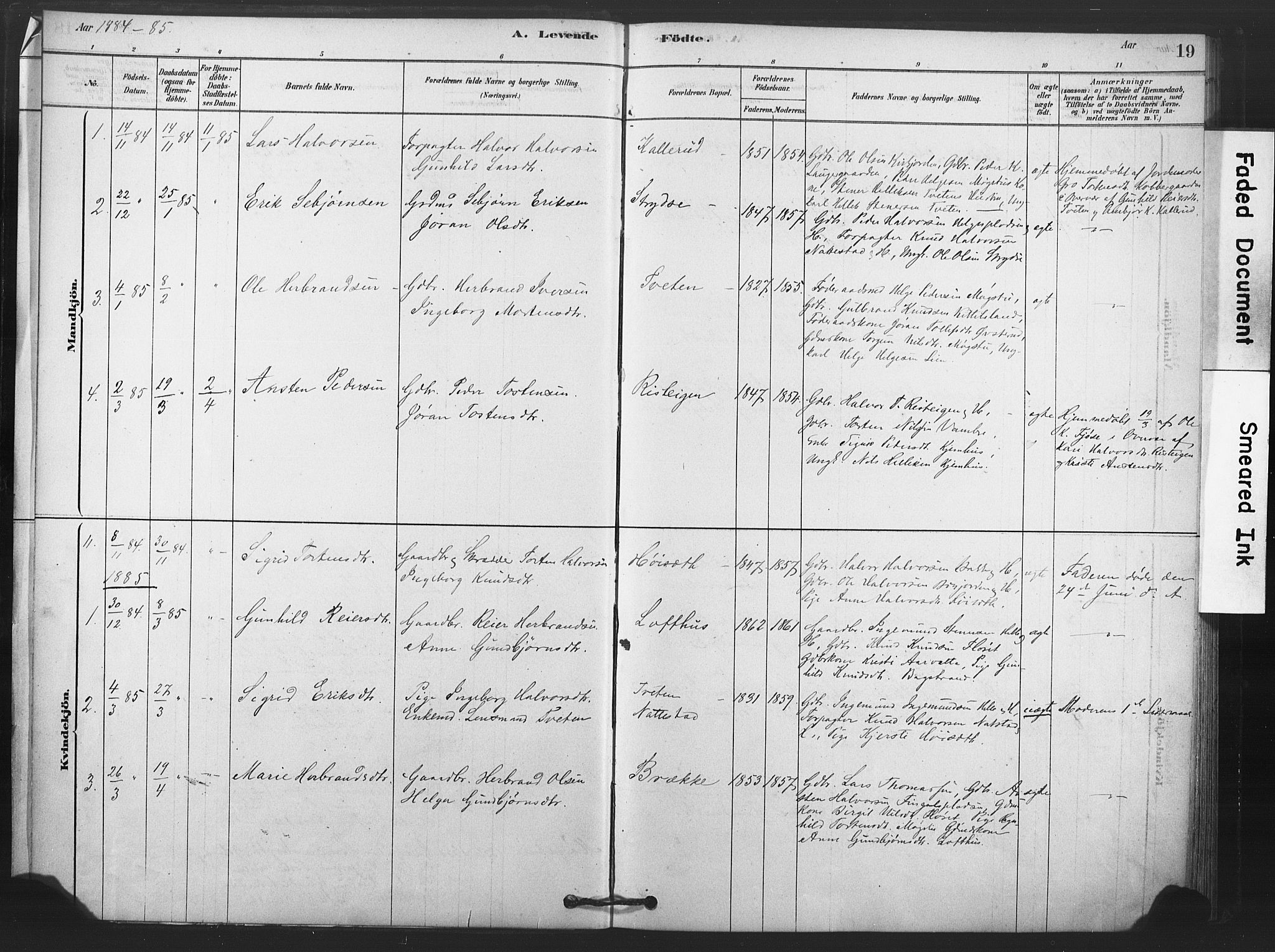 Rollag kirkebøker, AV/SAKO-A-240/F/Fb/L0001: Parish register (official) no. II 1, 1878-1899, p. 19