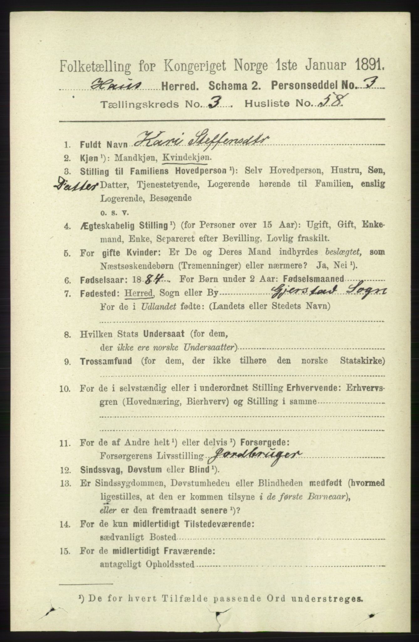 RA, 1891 census for 1250 Haus, 1891, p. 1328