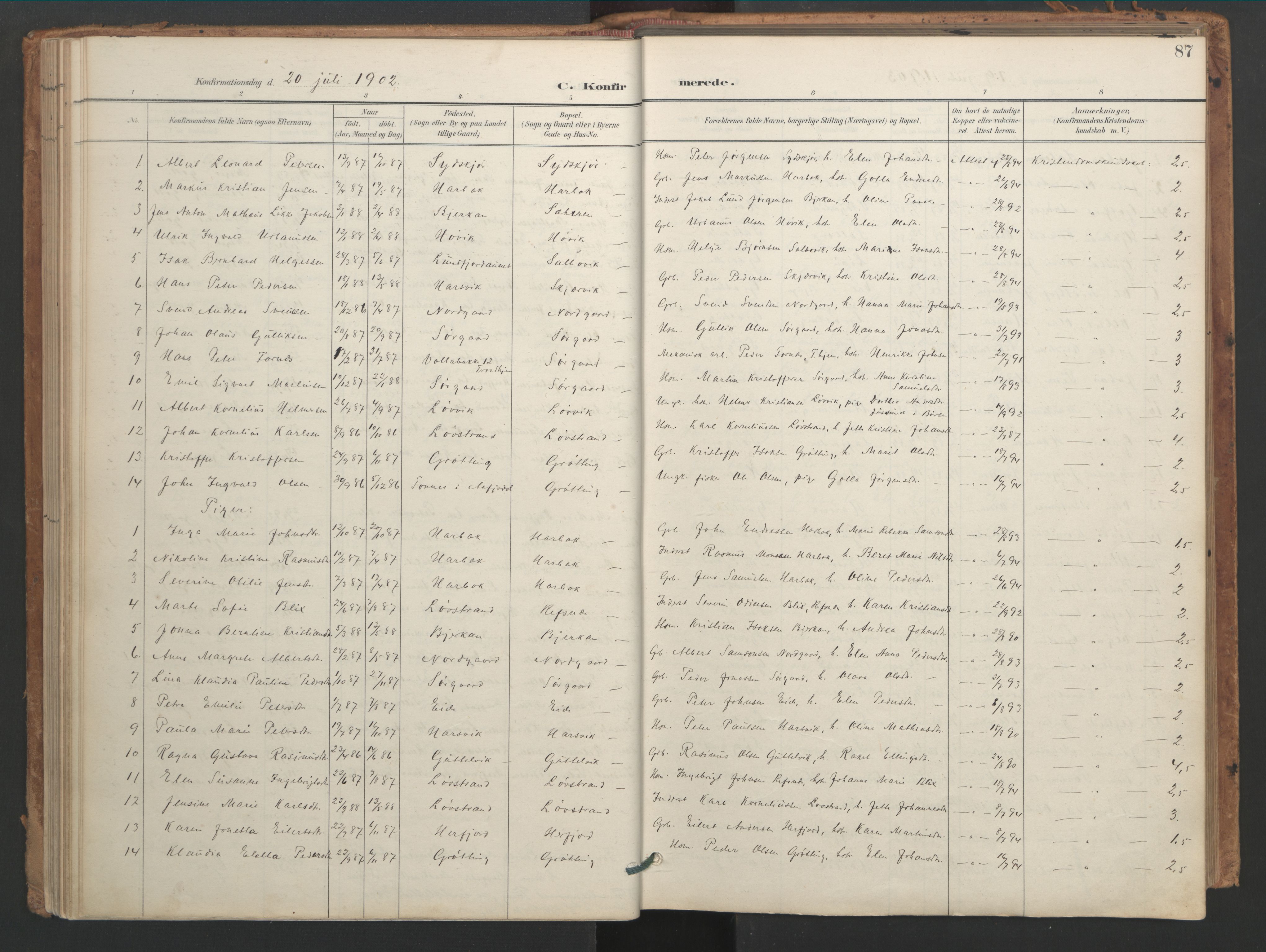 Ministerialprotokoller, klokkerbøker og fødselsregistre - Sør-Trøndelag, SAT/A-1456/656/L0693: Parish register (official) no. 656A02, 1894-1913, p. 87
