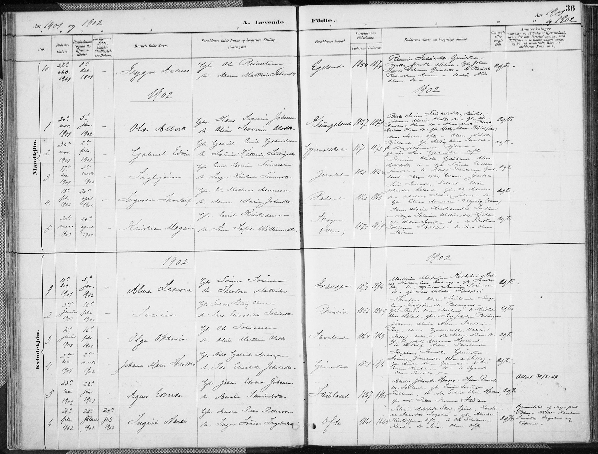 Herad sokneprestkontor, SAK/1111-0018/F/Fa/Faa/L0006: Parish register (official) no. A 6, 1887-1907, p. 36