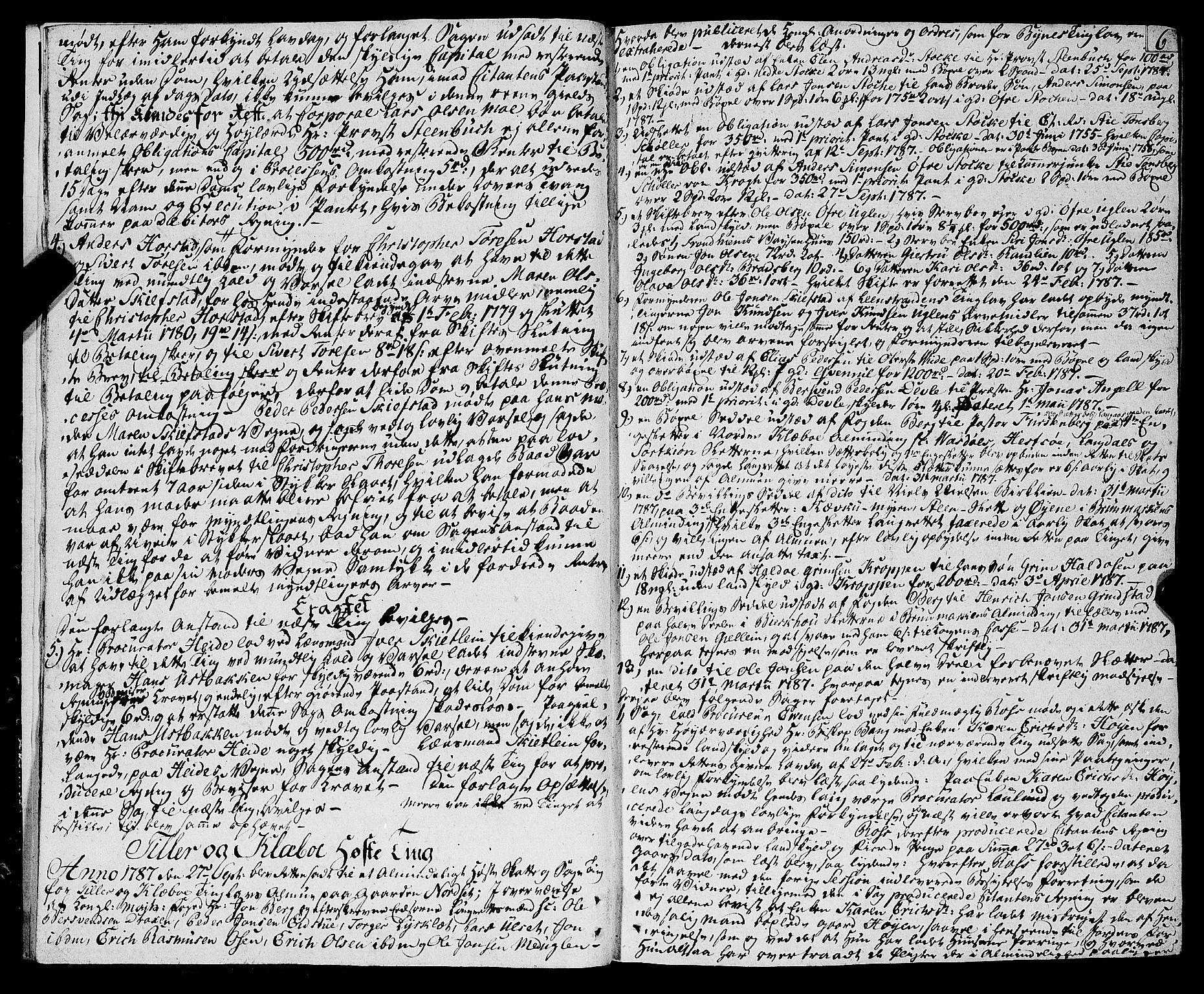 Strinda og Selbu sorenskriveri, AV/SAT-A-0015/1/1A/L0015: Tingbok 14, 1787-1794, p. 5b-6a