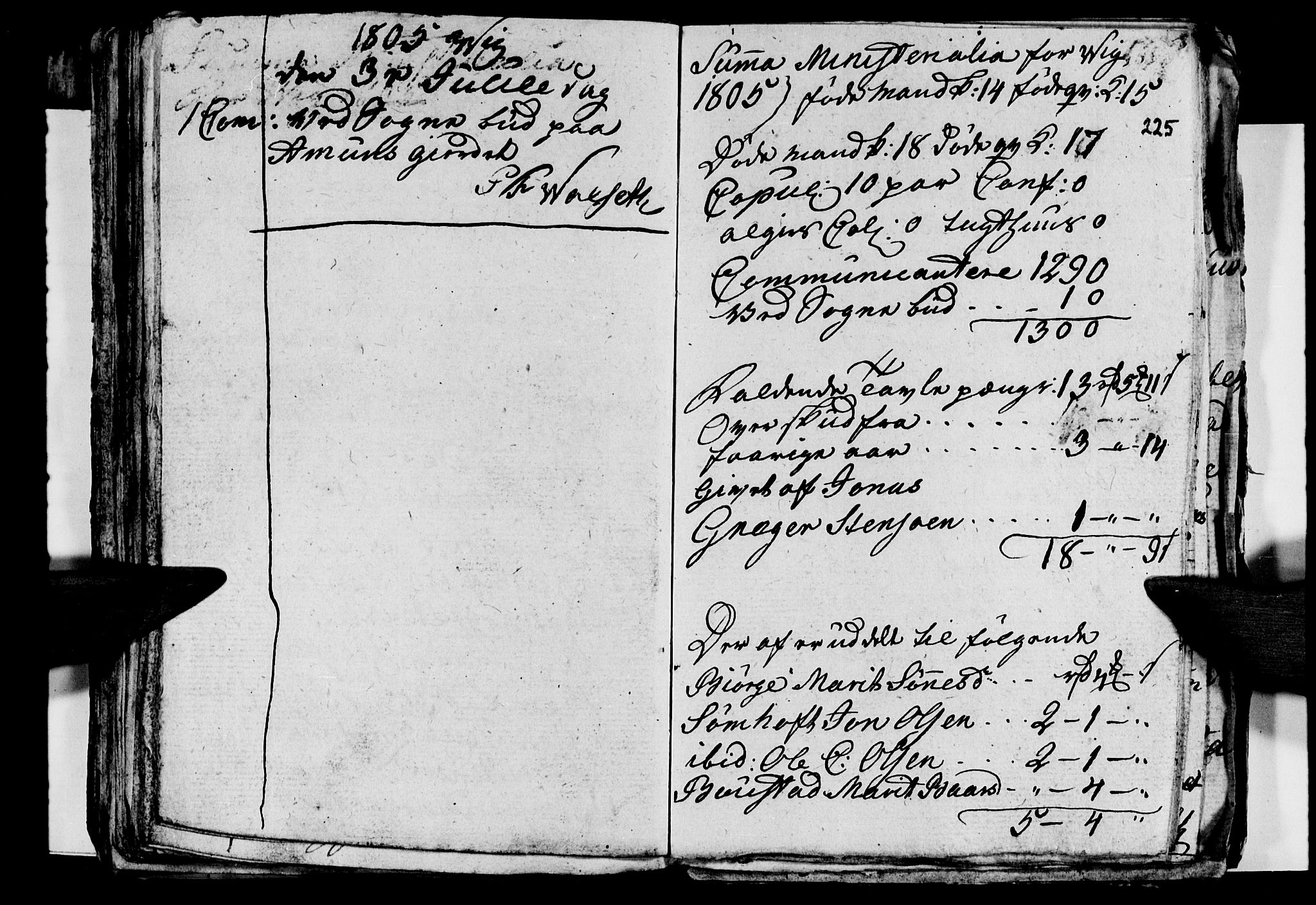 Ministerialprotokoller, klokkerbøker og fødselsregistre - Nordland, AV/SAT-A-1459/812/L0184: Parish register (copy) no. 812C02, 1793-1809, p. 225