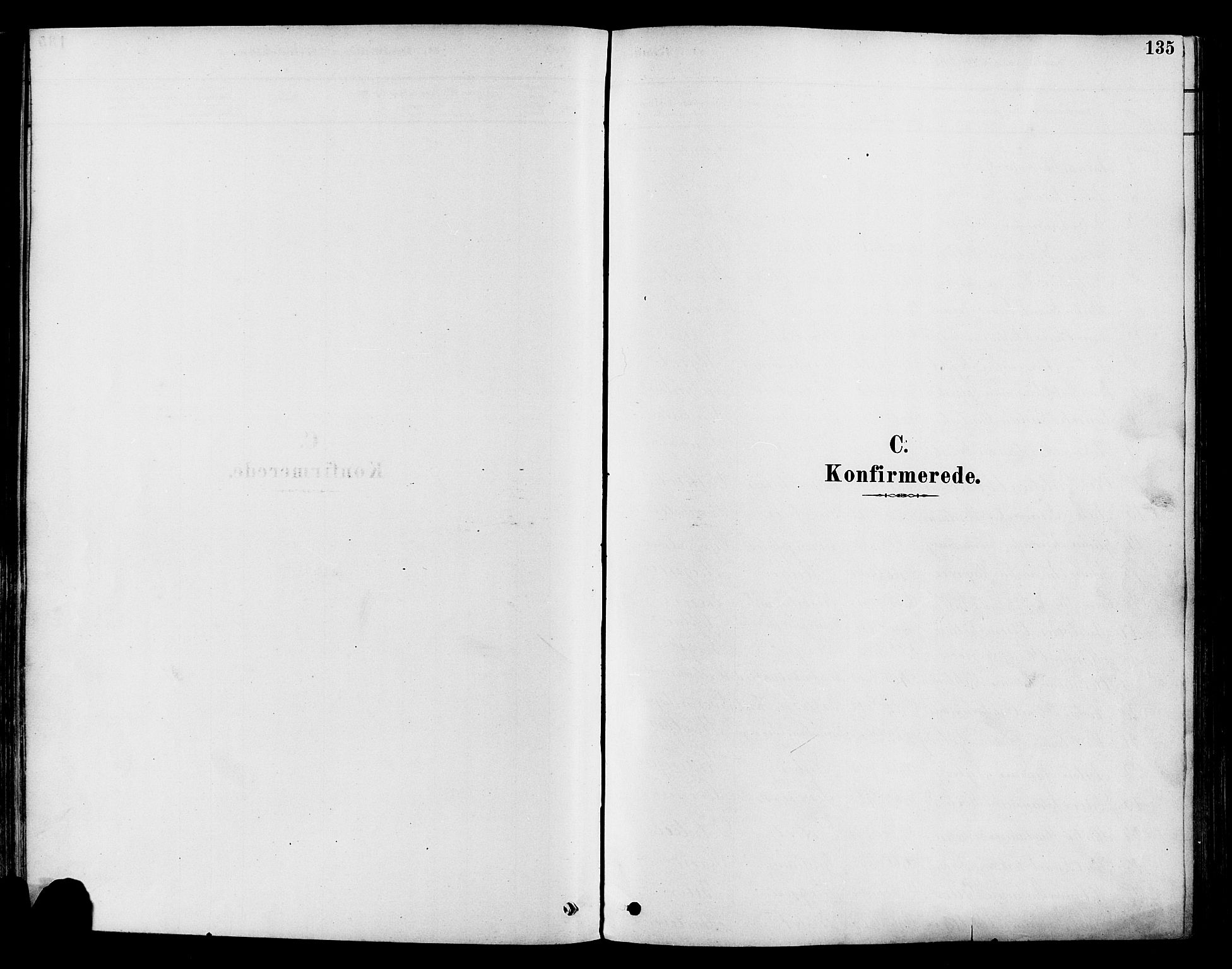 Vestre Toten prestekontor, SAH/PREST-108/H/Ha/Haa/L0009: Parish register (official) no. 9, 1878-1894, p. 135