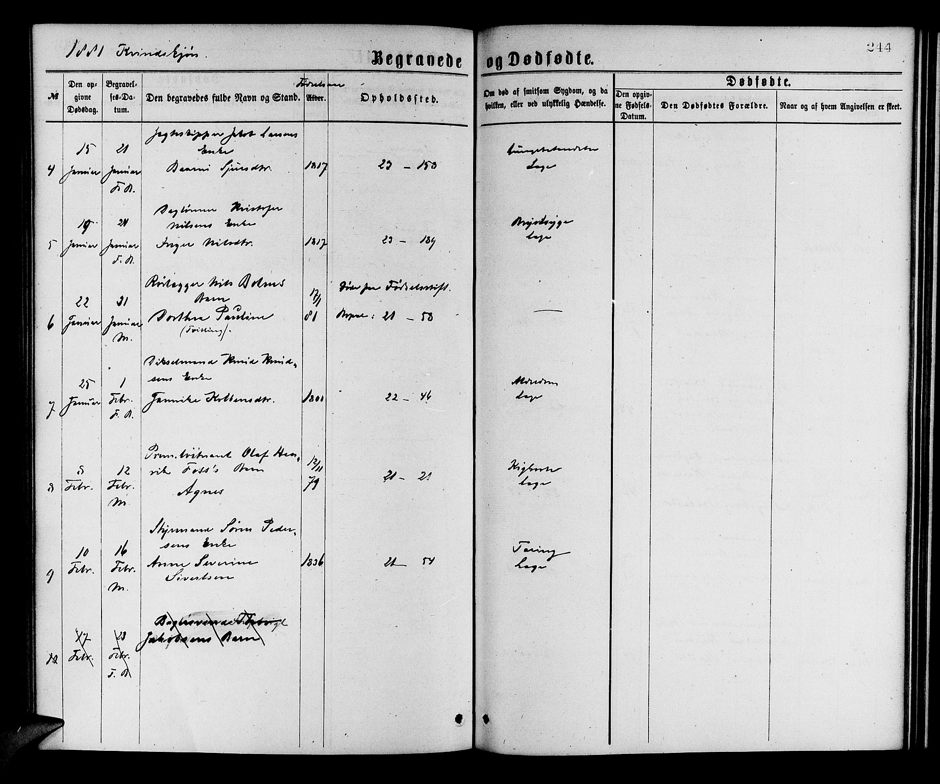 Korskirken sokneprestembete, SAB/A-76101/H/Hab: Parish register (copy) no. E 3, 1871-1883, p. 244