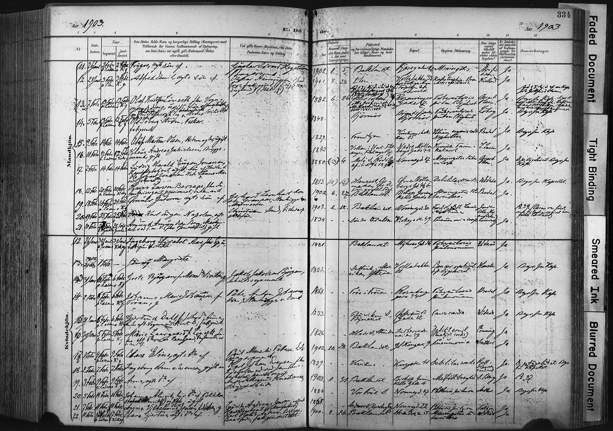 Ministerialprotokoller, klokkerbøker og fødselsregistre - Sør-Trøndelag, AV/SAT-A-1456/604/L0201: Parish register (official) no. 604A21, 1901-1911, p. 334