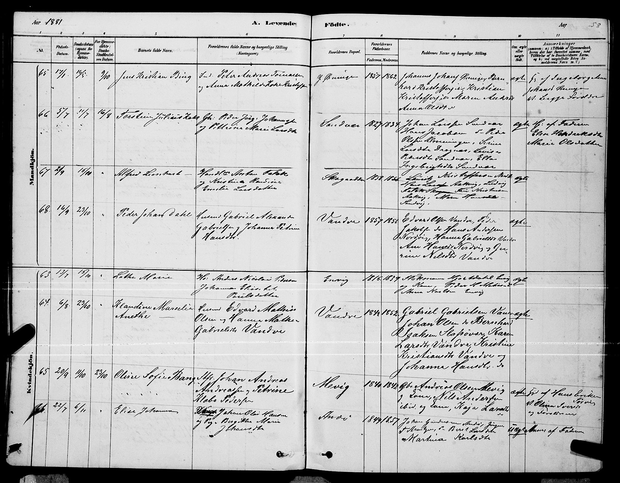 Ministerialprotokoller, klokkerbøker og fødselsregistre - Nordland, AV/SAT-A-1459/834/L0513: Parish register (copy) no. 834C04, 1877-1892, p. 58