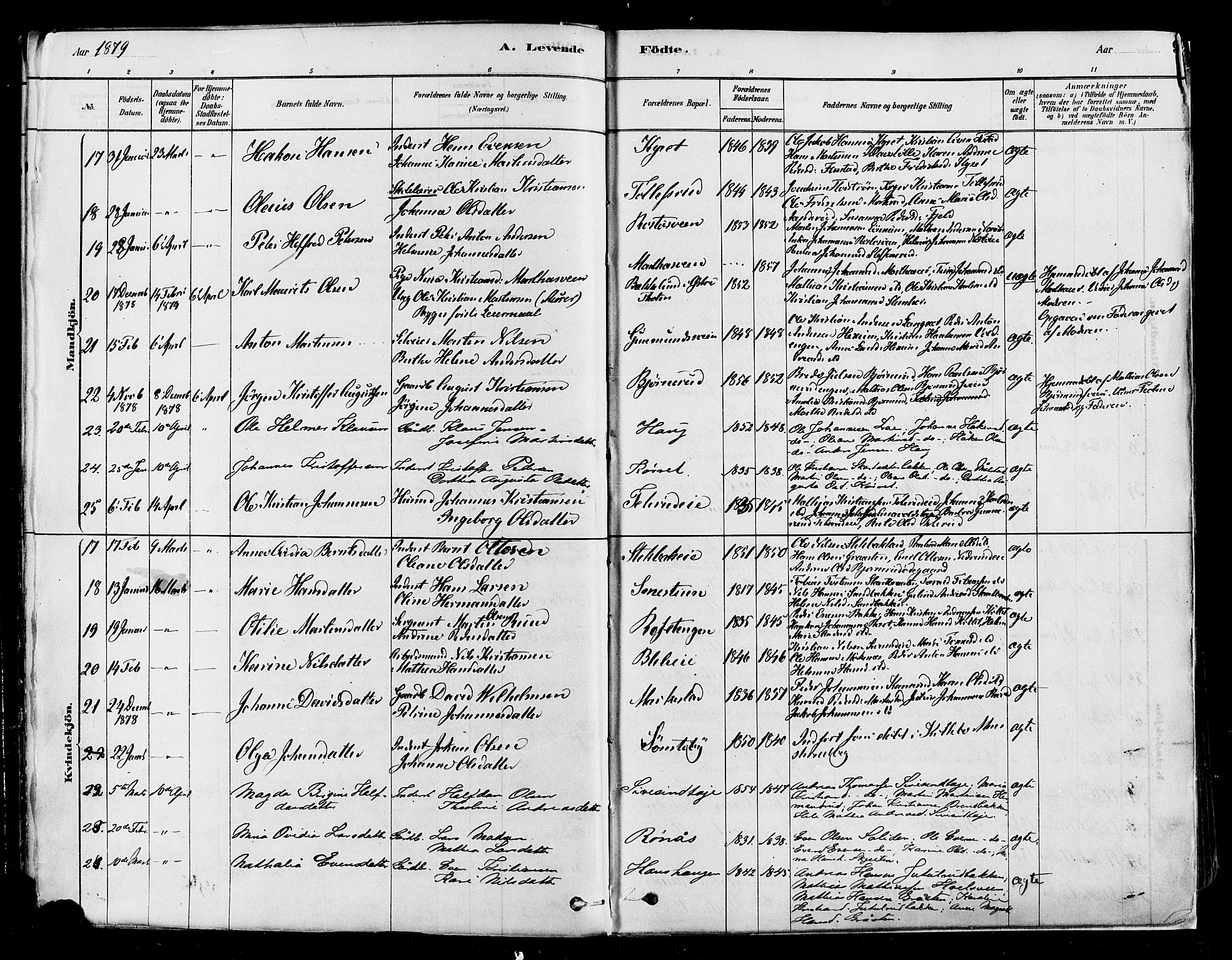 Vestre Toten prestekontor, SAH/PREST-108/H/Ha/Haa/L0009: Parish register (official) no. 9, 1878-1894, p. 9