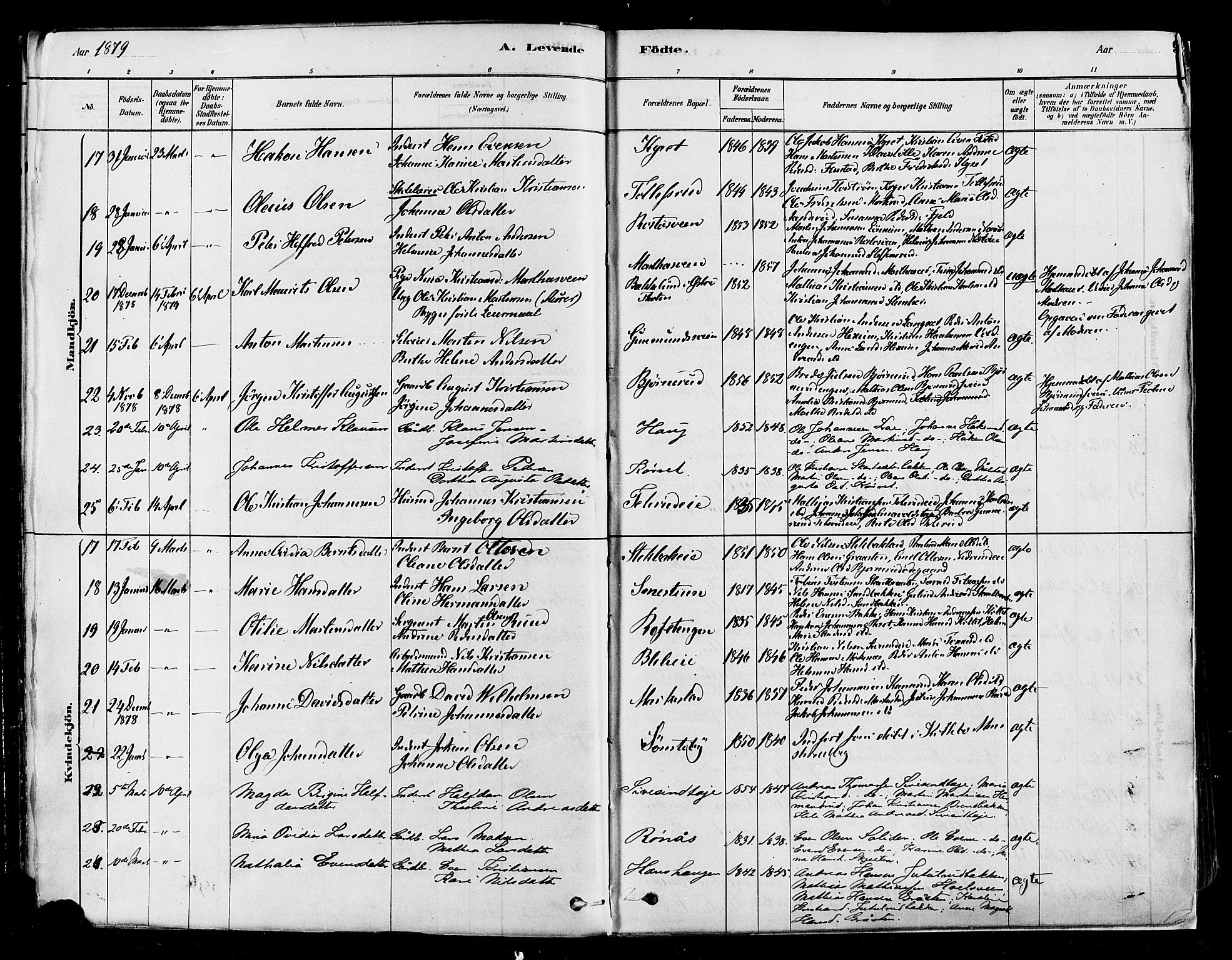 Vestre Toten prestekontor, AV/SAH-PREST-108/H/Ha/Haa/L0009: Parish register (official) no. 9, 1878-1894, p. 9