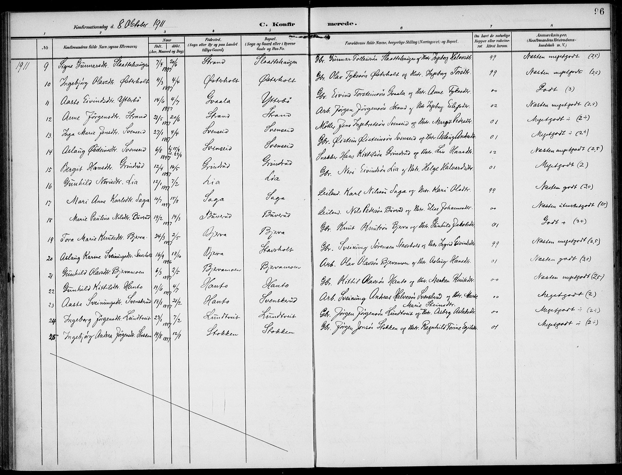 Lunde kirkebøker, AV/SAKO-A-282/F/Fa/L0004: Parish register (official) no. I 4, 1902-1913, p. 96