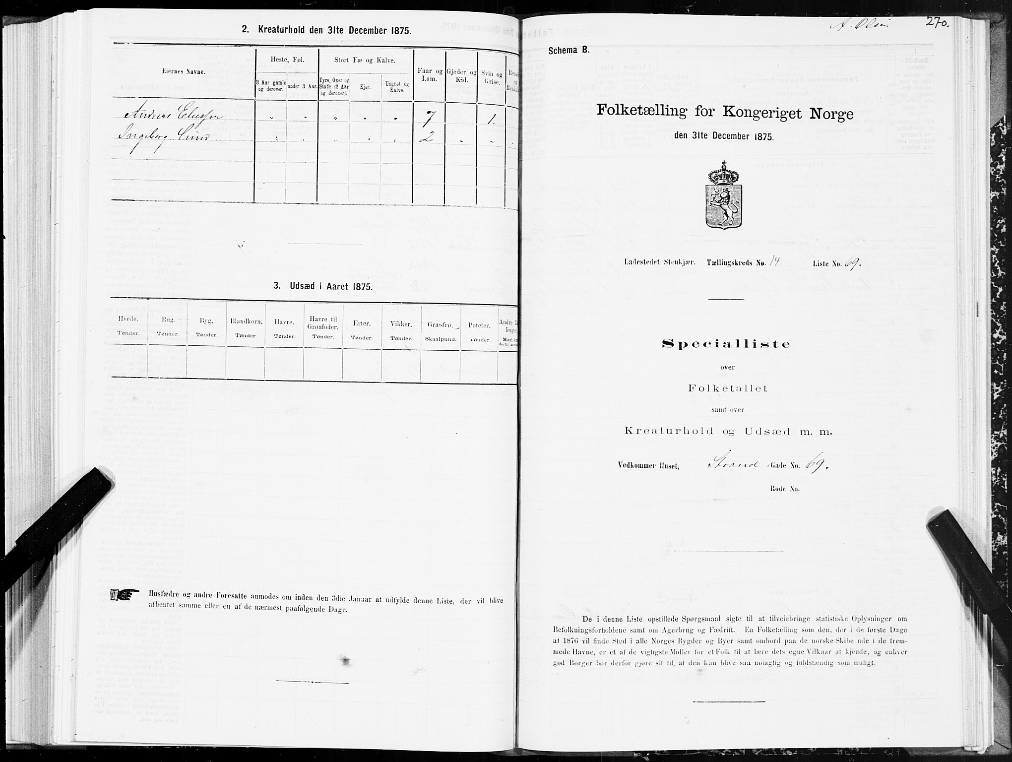 SAT, 1875 census for 1702B Steinkjer/Steinkjer, 1875, p. 270