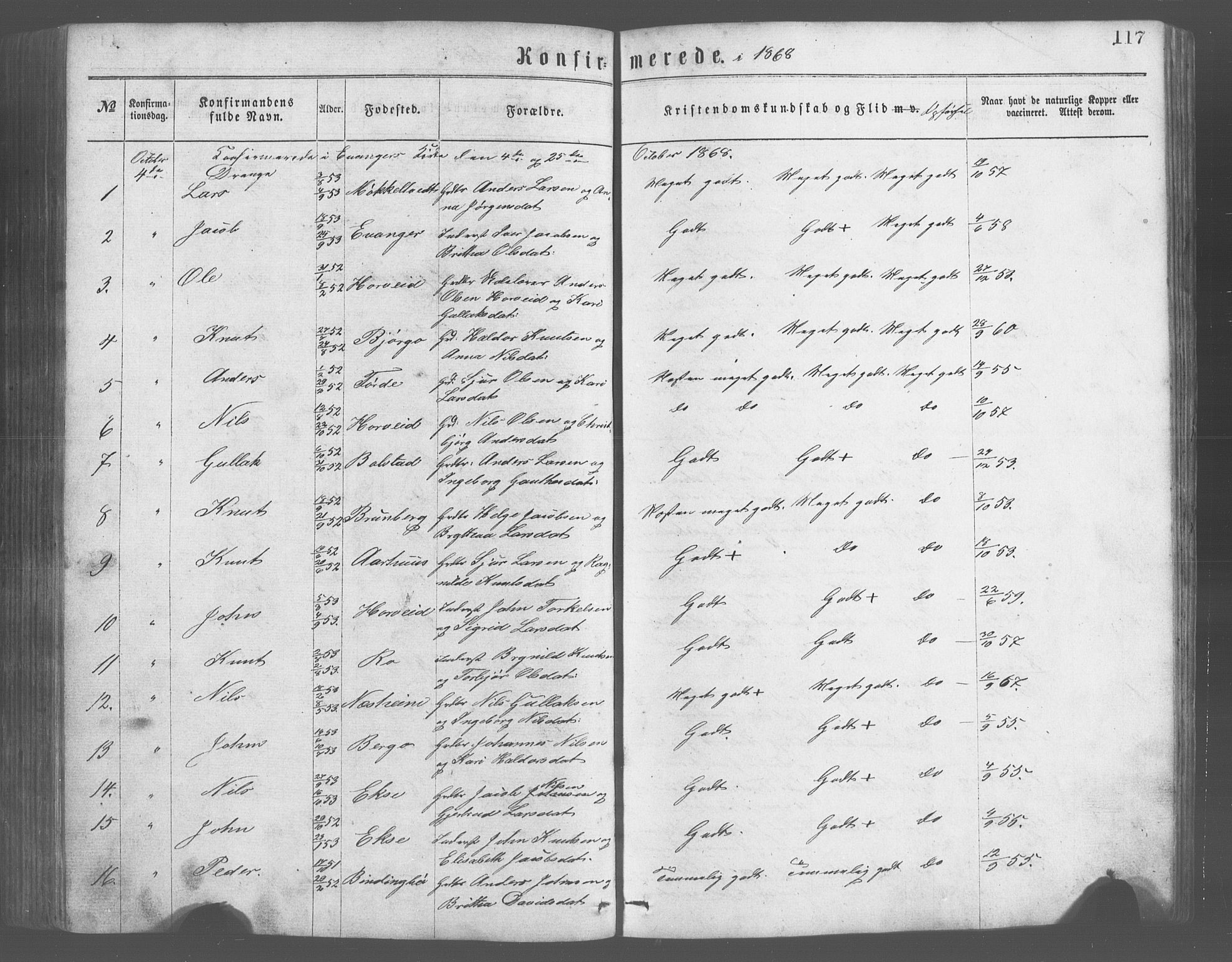 Evanger sokneprestembete, SAB/A-99924: Parish register (copy) no. A 2, 1863-1879, p. 117