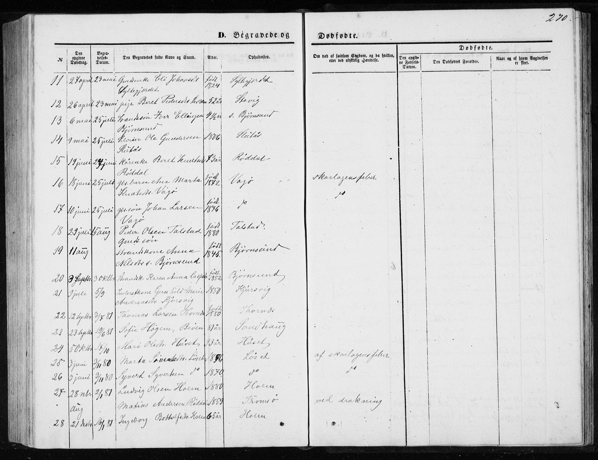 Ministerialprotokoller, klokkerbøker og fødselsregistre - Møre og Romsdal, AV/SAT-A-1454/565/L0754: Parish register (copy) no. 565C03, 1870-1896, p. 270