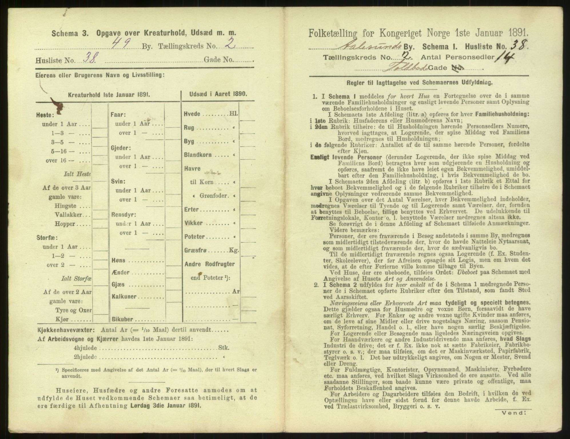 RA, 1891 census for 1501 Ålesund, 1891, p. 196