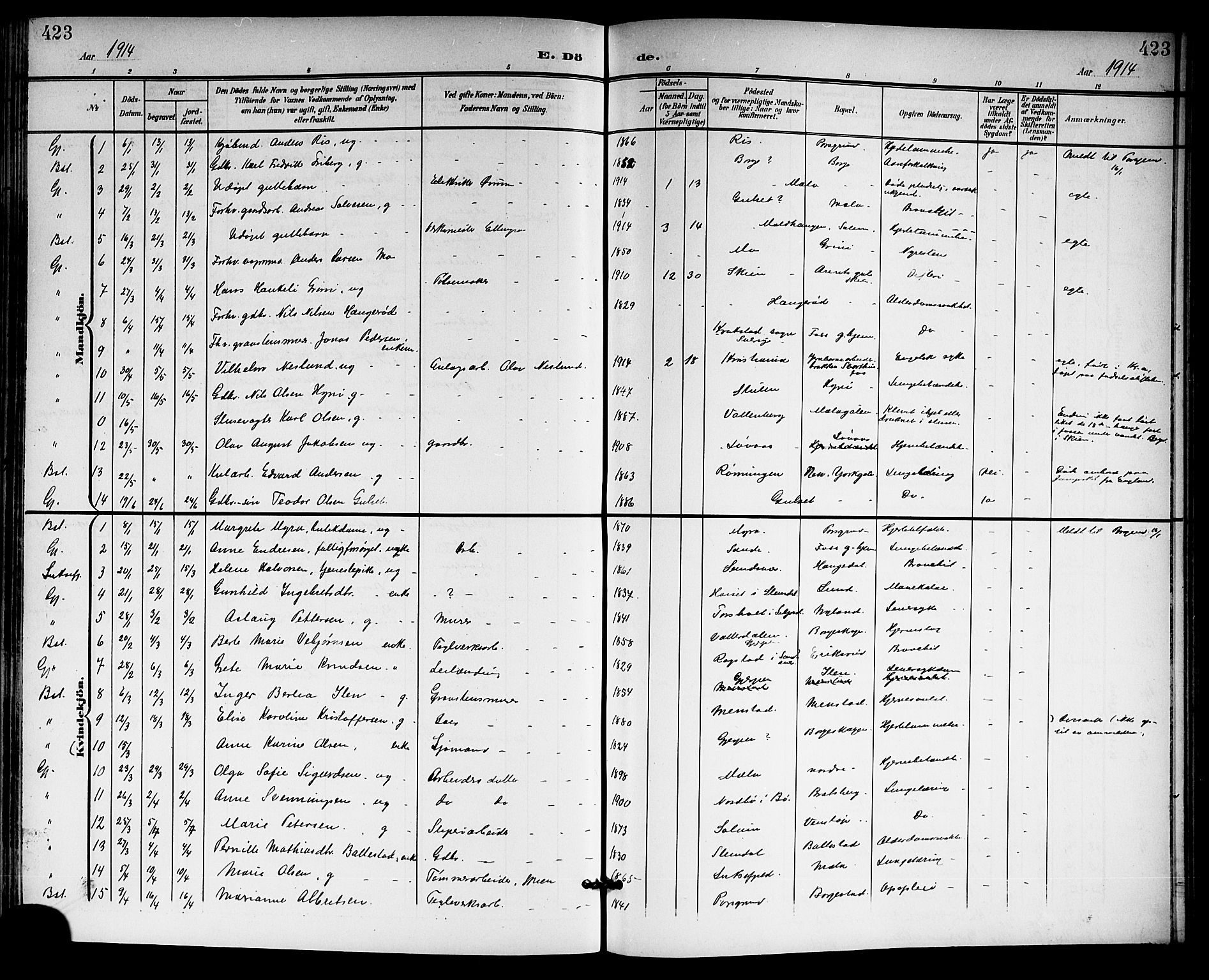 Gjerpen kirkebøker, SAKO/A-265/G/Ga/L0003: Parish register (copy) no. I 3, 1901-1919, p. 423