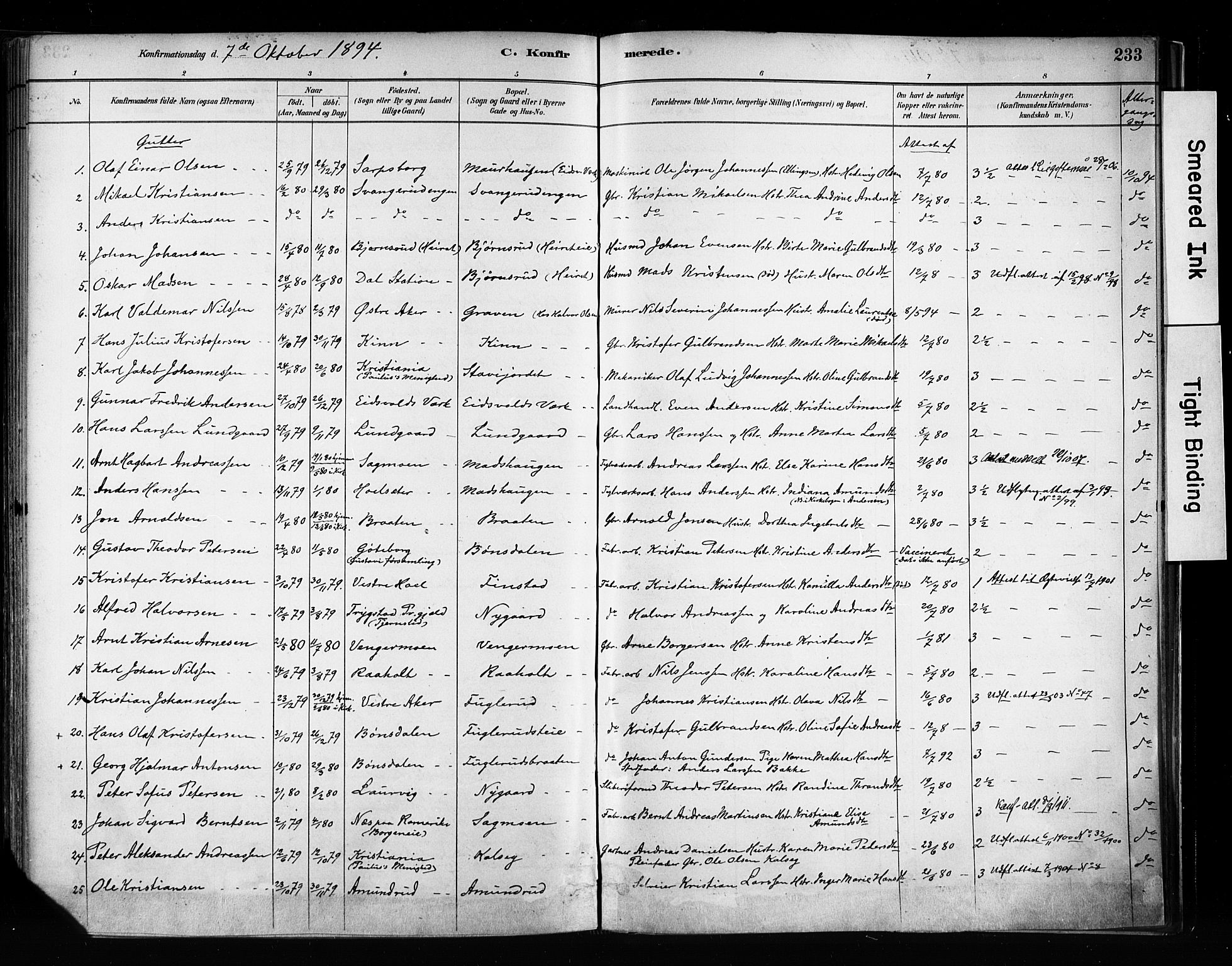 Eidsvoll prestekontor Kirkebøker, SAO/A-10888/F/Fa/L0002: Parish register (official) no. I 2, 1882-1895, p. 233