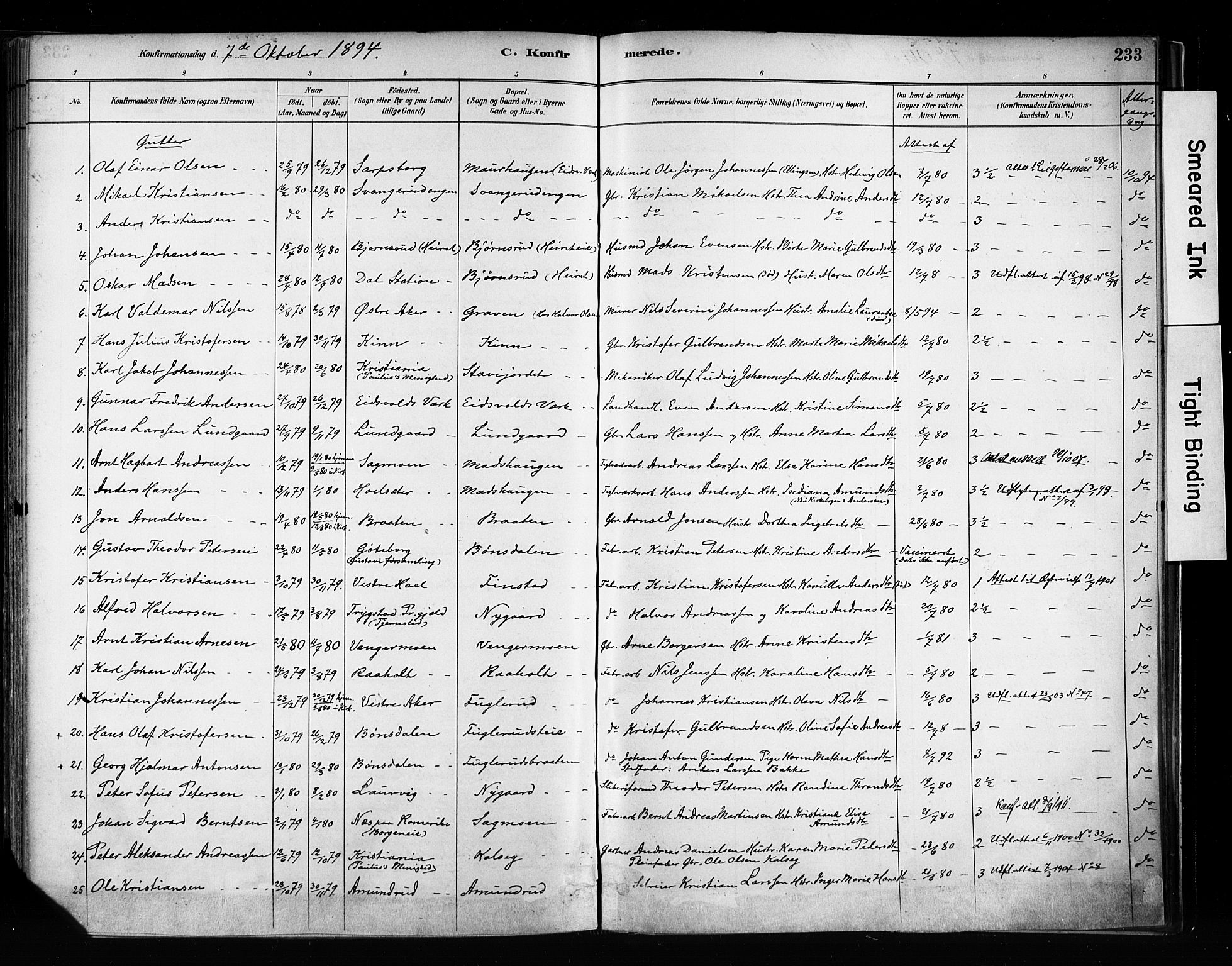 Eidsvoll prestekontor Kirkebøker, AV/SAO-A-10888/F/Fa/L0002: Parish register (official) no. I 2, 1882-1895, p. 233