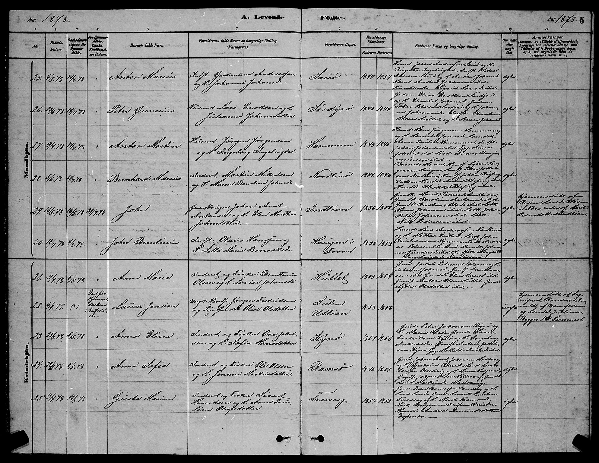 Ministerialprotokoller, klokkerbøker og fødselsregistre - Sør-Trøndelag, AV/SAT-A-1456/640/L0585: Parish register (copy) no. 640C03, 1878-1891, p. 5