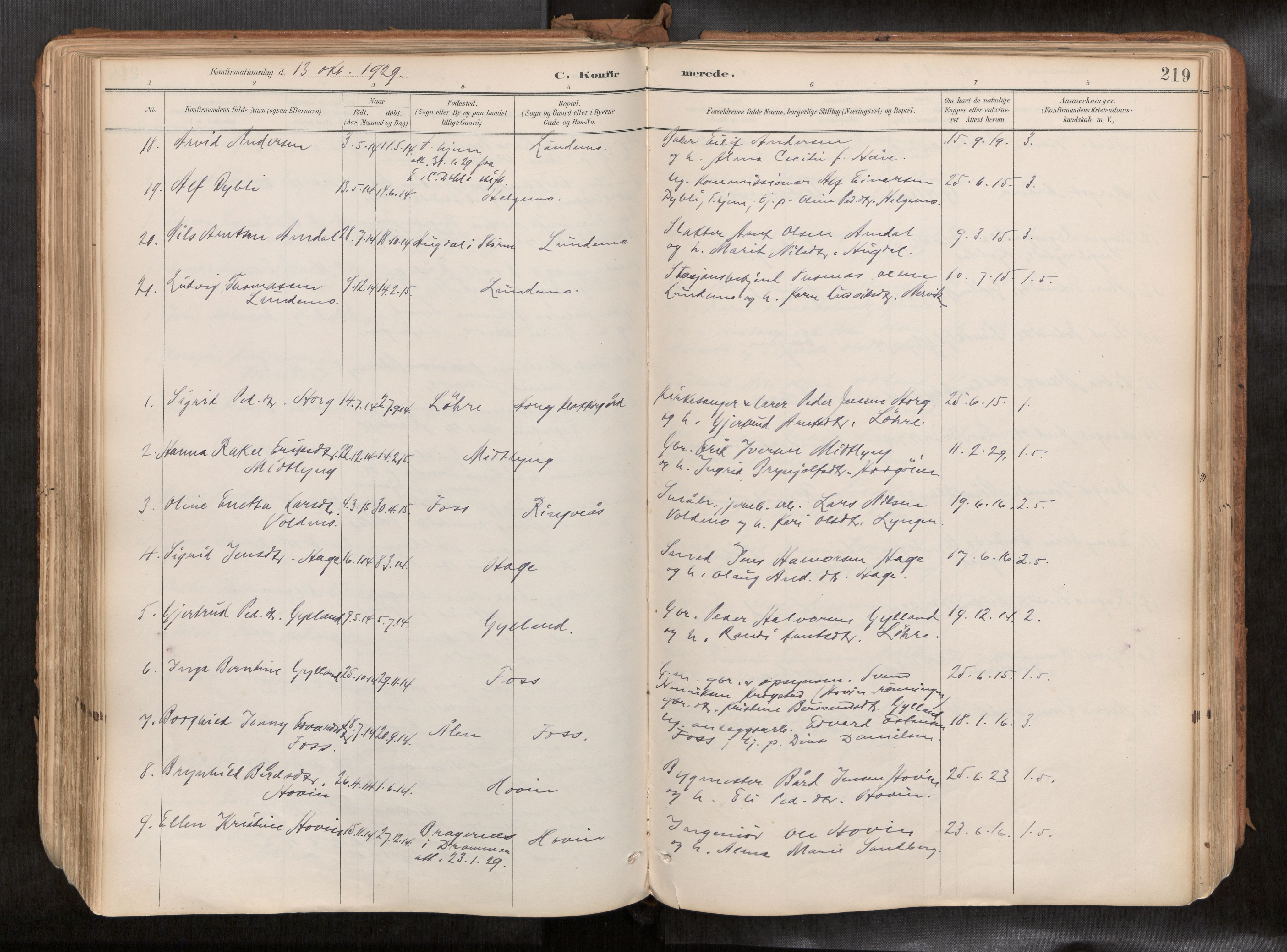 Ministerialprotokoller, klokkerbøker og fødselsregistre - Sør-Trøndelag, SAT/A-1456/692/L1105b: Parish register (official) no. 692A06, 1891-1934, p. 219