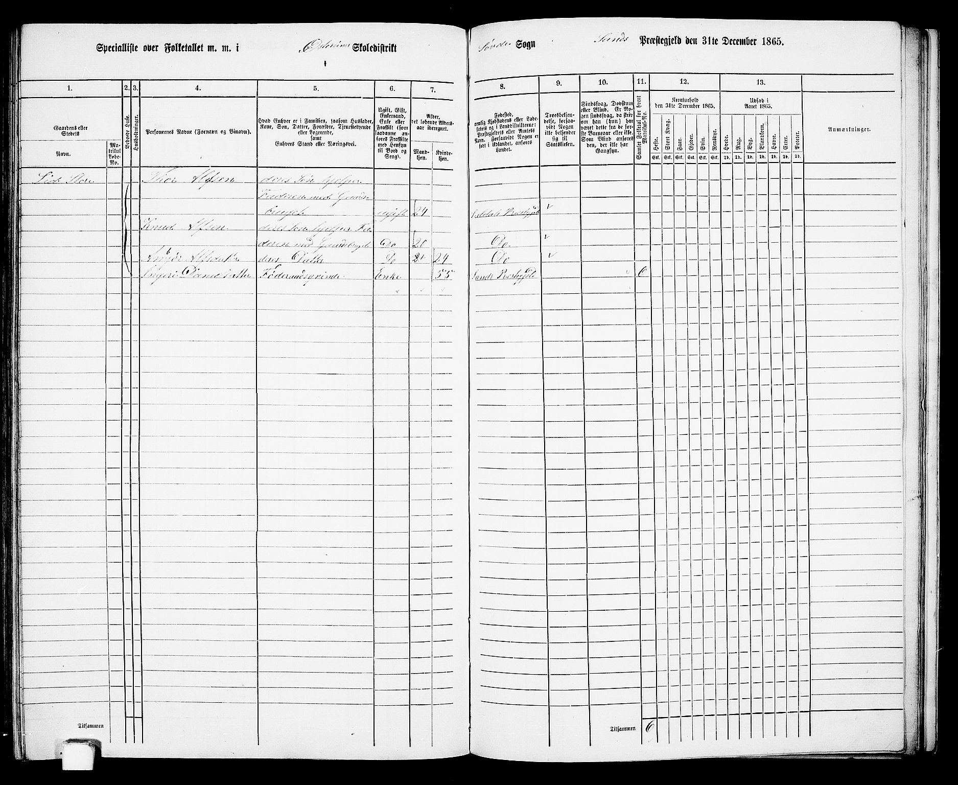 RA, 1865 census for Sand, 1865, p. 137