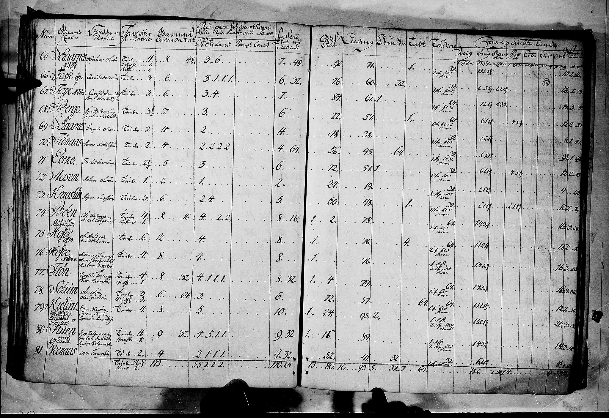 Rentekammeret inntil 1814, Realistisk ordnet avdeling, AV/RA-EA-4070/N/Nb/Nbf/L0122: Øvre og Nedre Telemark matrikkelprotokoll, 1723, p. 50b-51a