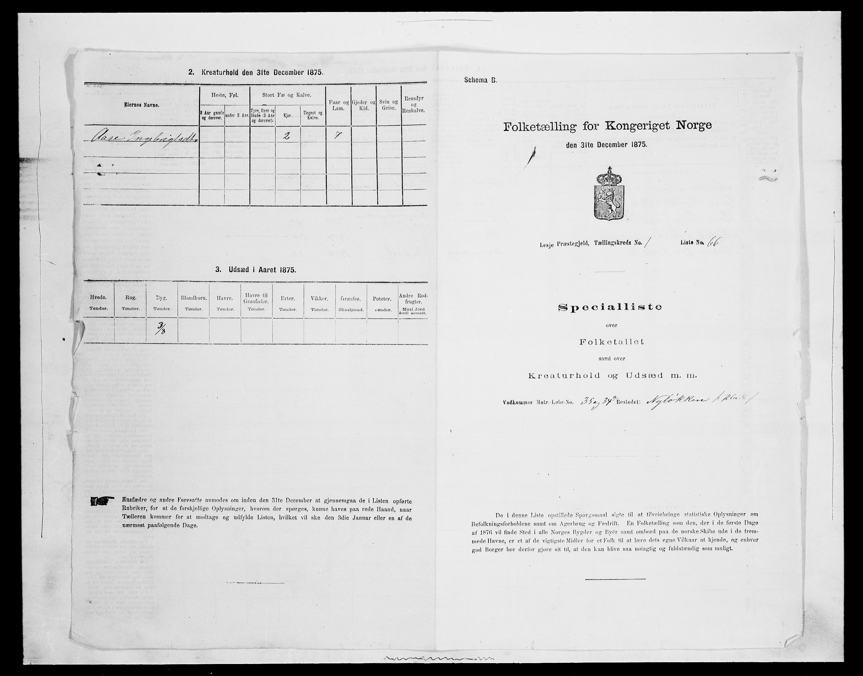 SAH, 1875 census for 0512P Lesja, 1875, p. 214