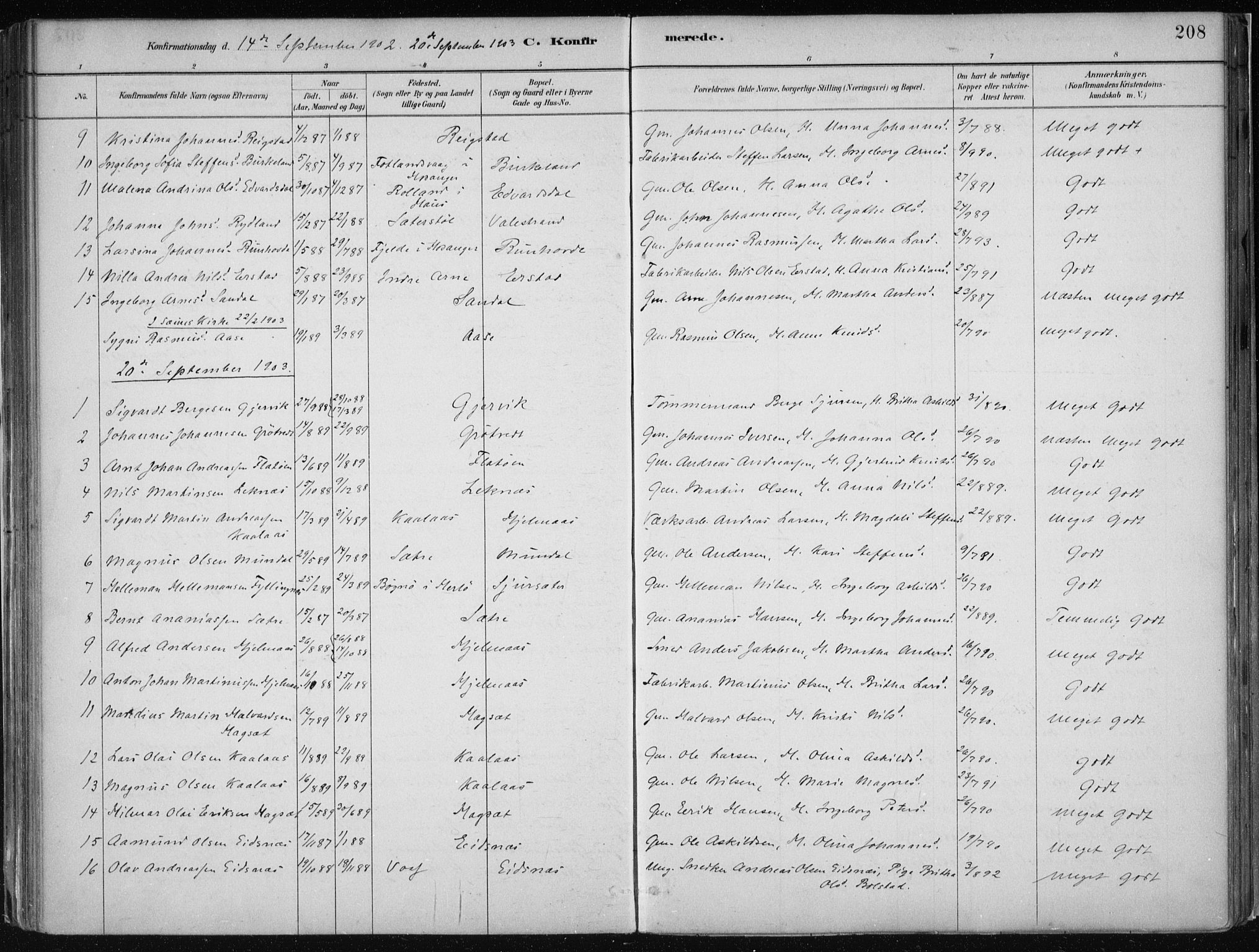 Hamre sokneprestembete, SAB/A-75501/H/Ha/Haa/Haab/L0001: Parish register (official) no. B  1, 1882-1905, p. 208