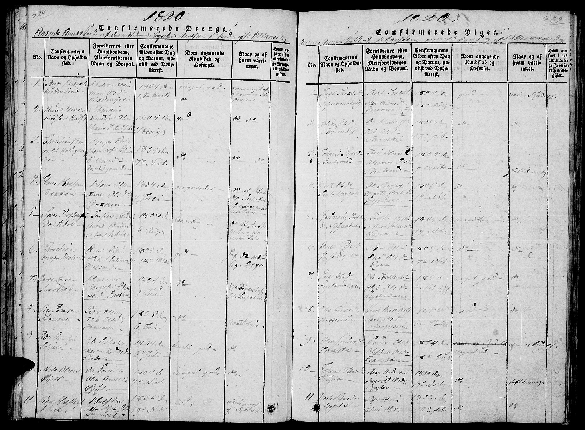 Hof prestekontor, AV/SAH-PREST-038/H/Ha/Haa/L0005: Parish register (official) no. 5, 1816-1822, p. 528-529