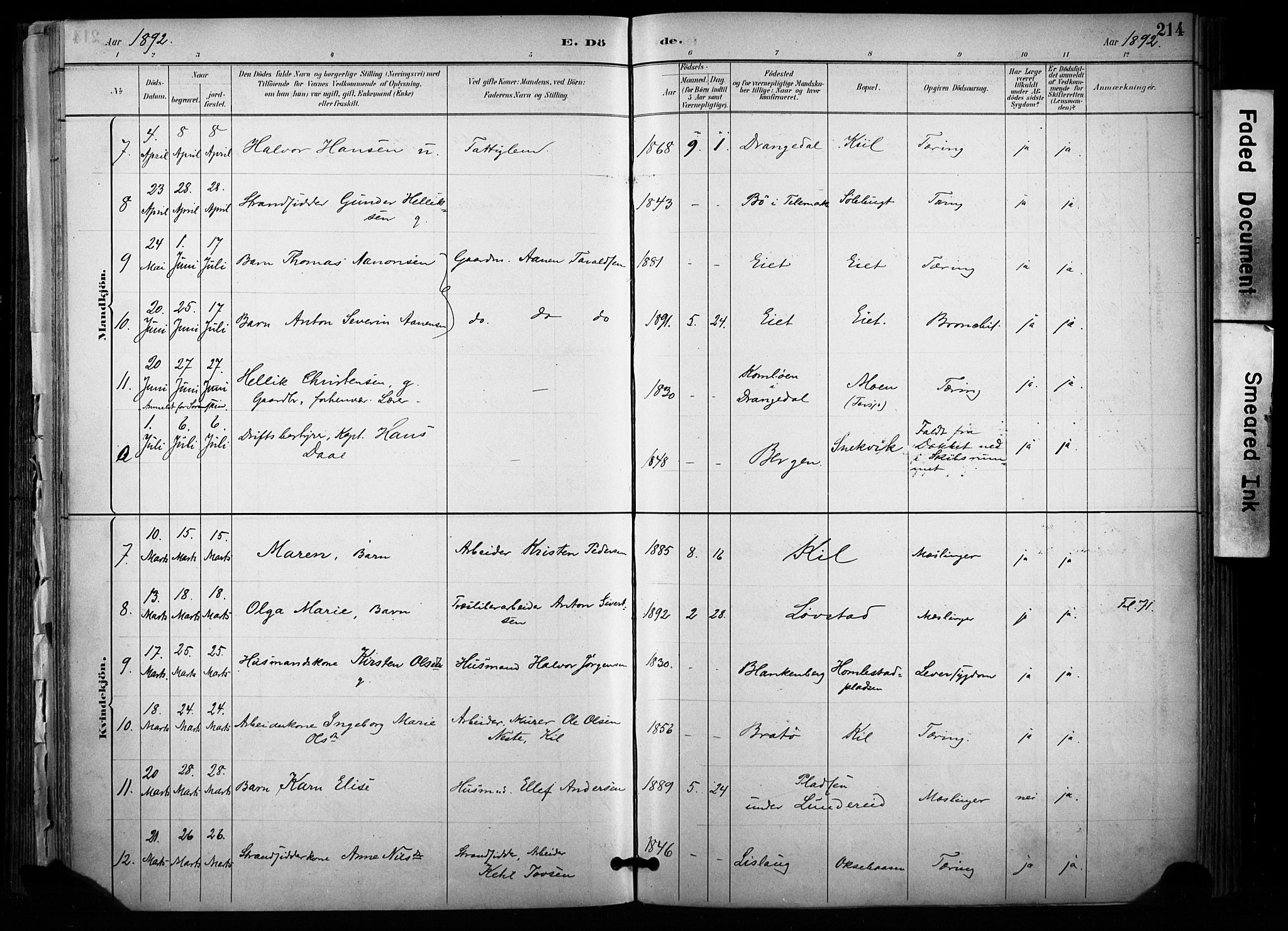 Sannidal kirkebøker, SAKO/A-296/F/Fa/L0015: Parish register (official) no. 15, 1884-1899, p. 214