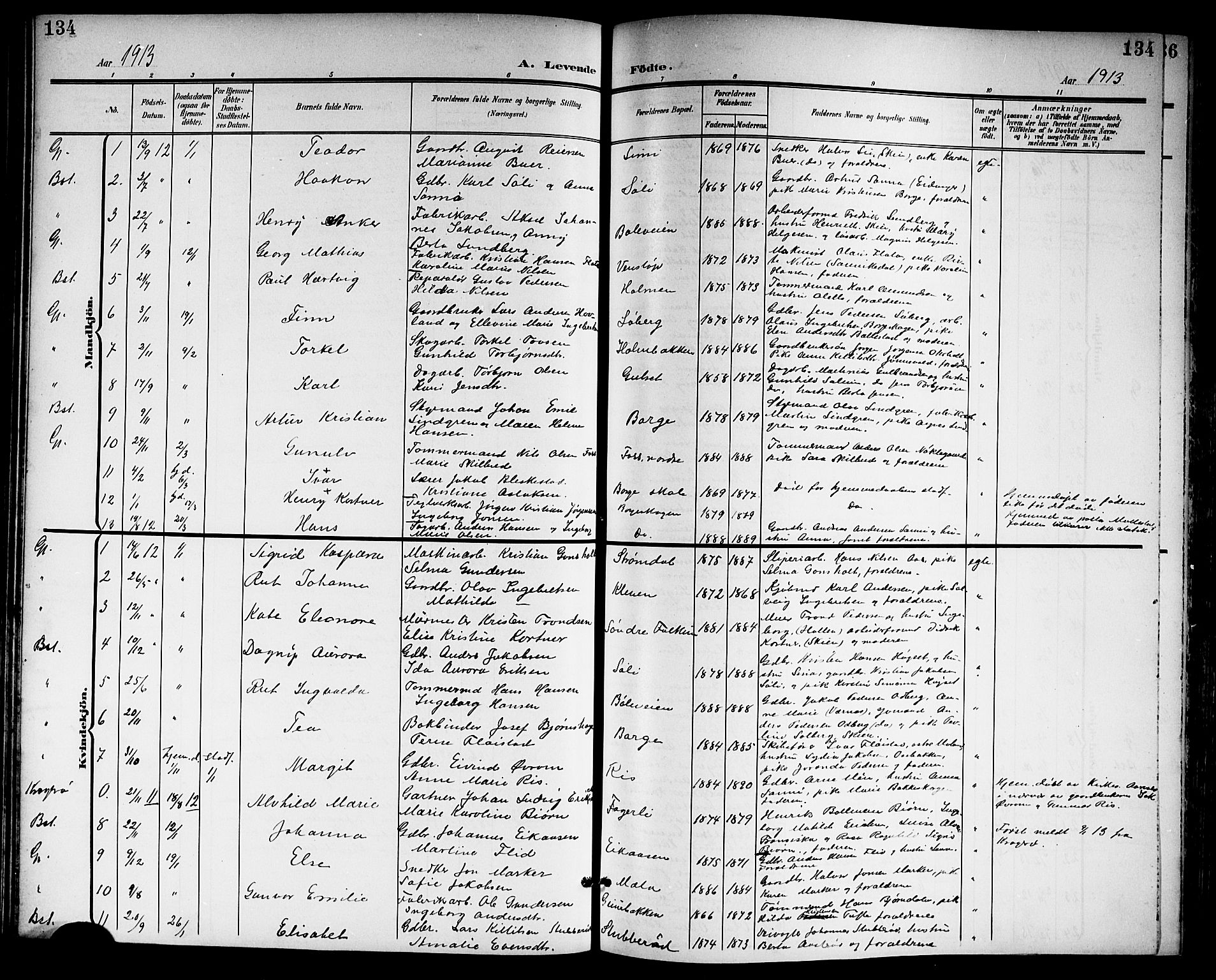 Gjerpen kirkebøker, SAKO/A-265/G/Ga/L0003: Parish register (copy) no. I 3, 1901-1919, p. 134