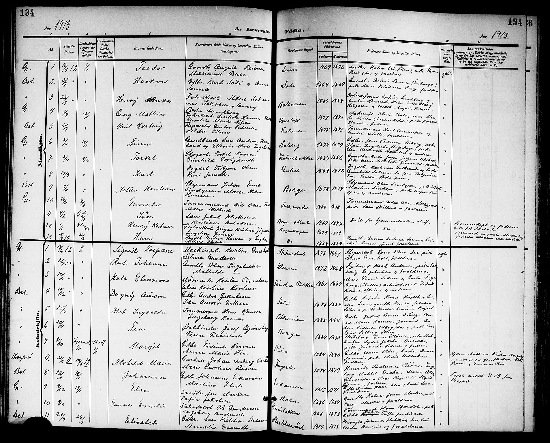 Gjerpen kirkebøker, AV/SAKO-A-265/G/Ga/L0003: Parish register (copy) no. I 3, 1901-1919, p. 134