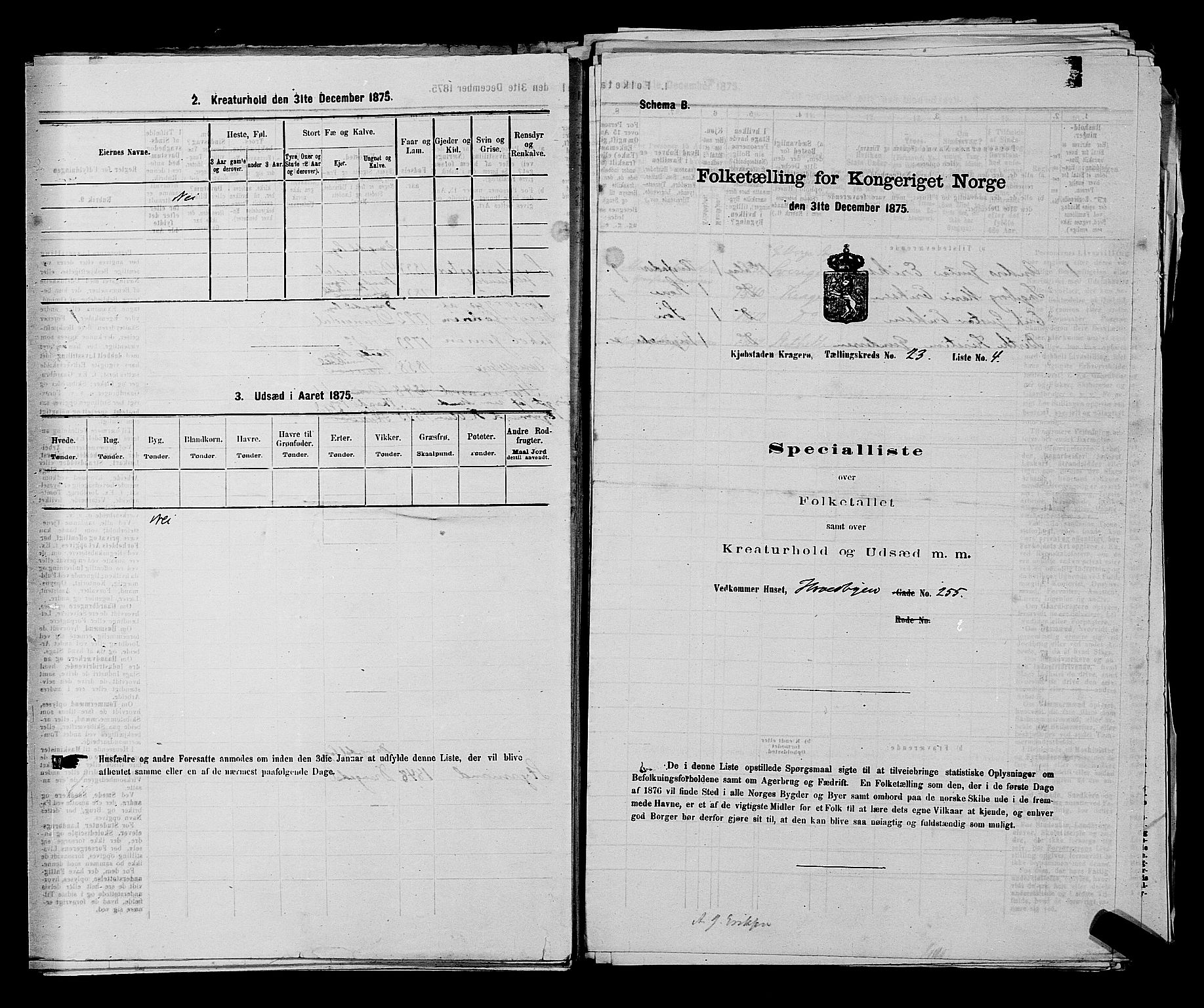 SAKO, 1875 census for 0801P Kragerø, 1875, p. 496