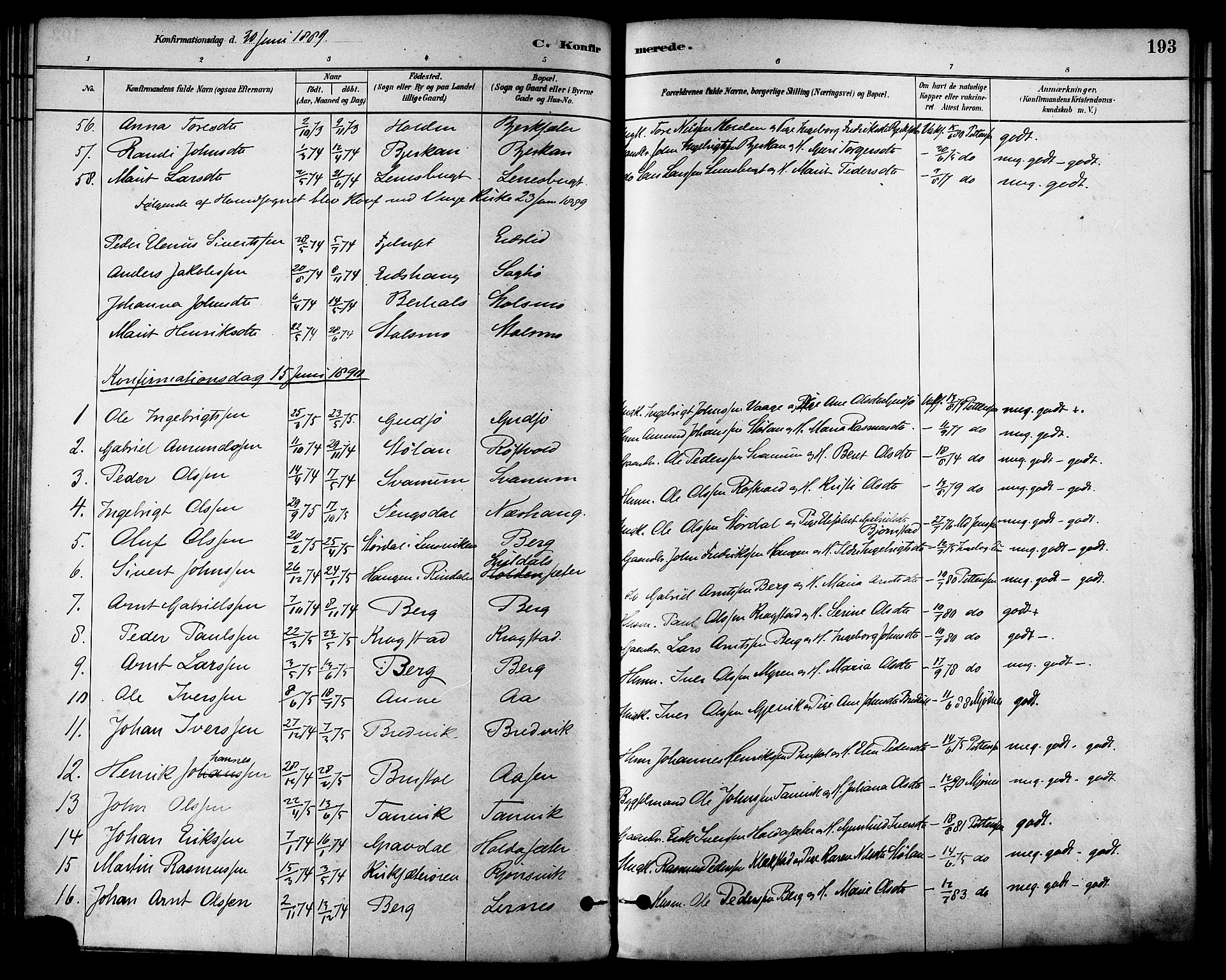 Ministerialprotokoller, klokkerbøker og fødselsregistre - Sør-Trøndelag, SAT/A-1456/630/L0496: Parish register (official) no. 630A09, 1879-1895, p. 193