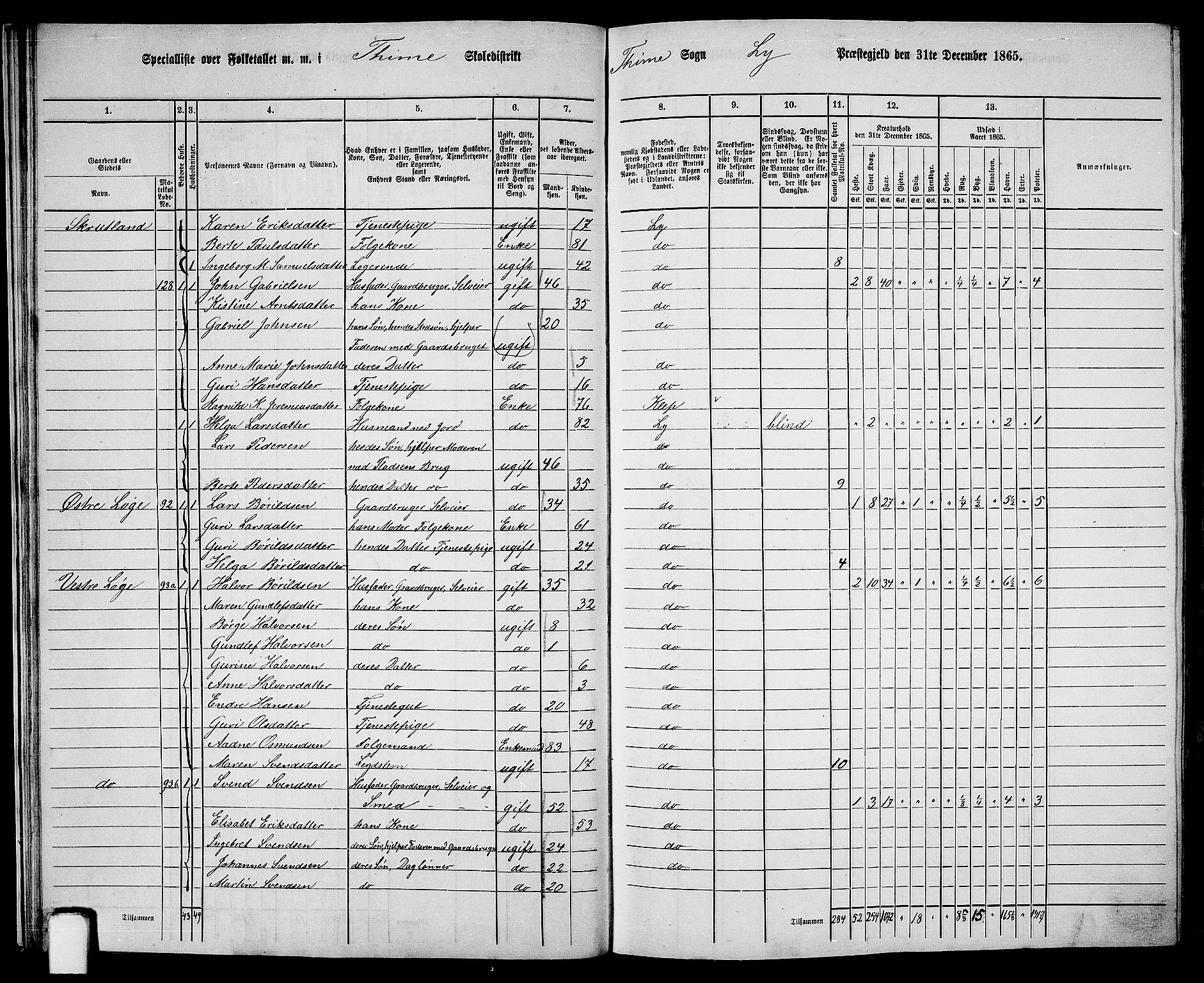 RA, 1865 census for Lye, 1865, p. 23