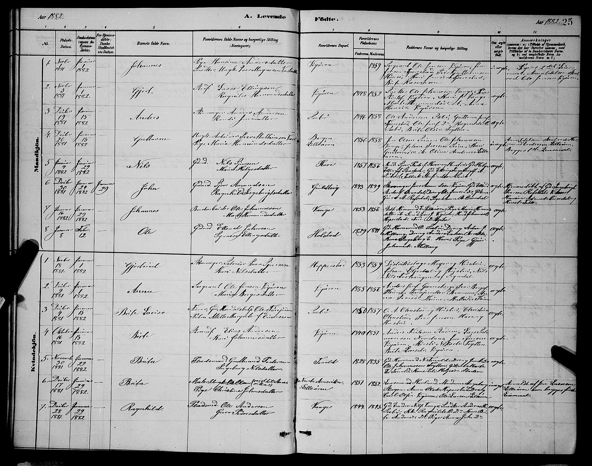 Vik sokneprestembete, SAB/A-81501: Parish register (copy) no. A 3, 1878-1894, p. 25