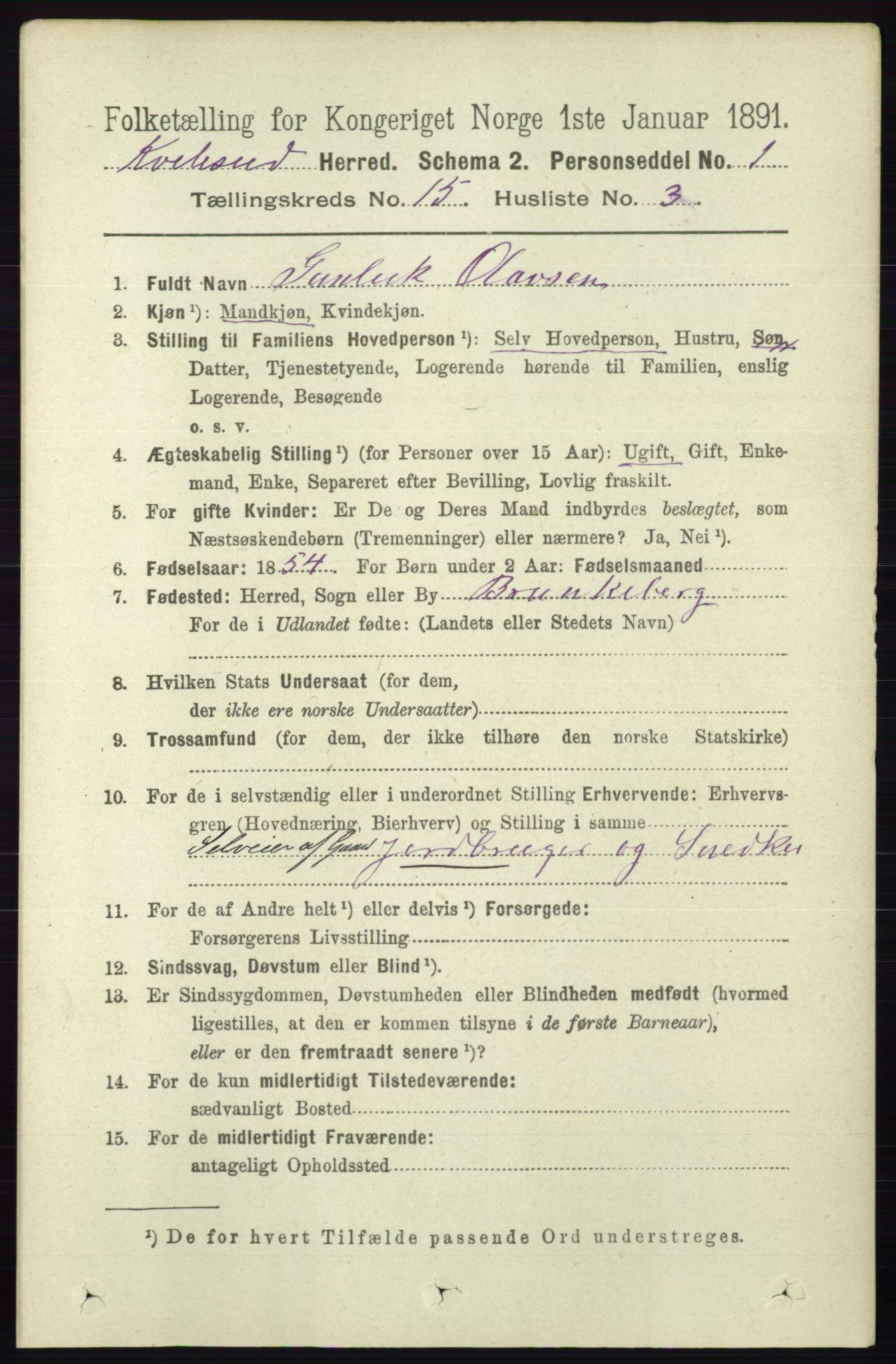 RA, 1891 census for 0829 Kviteseid, 1891, p. 3539