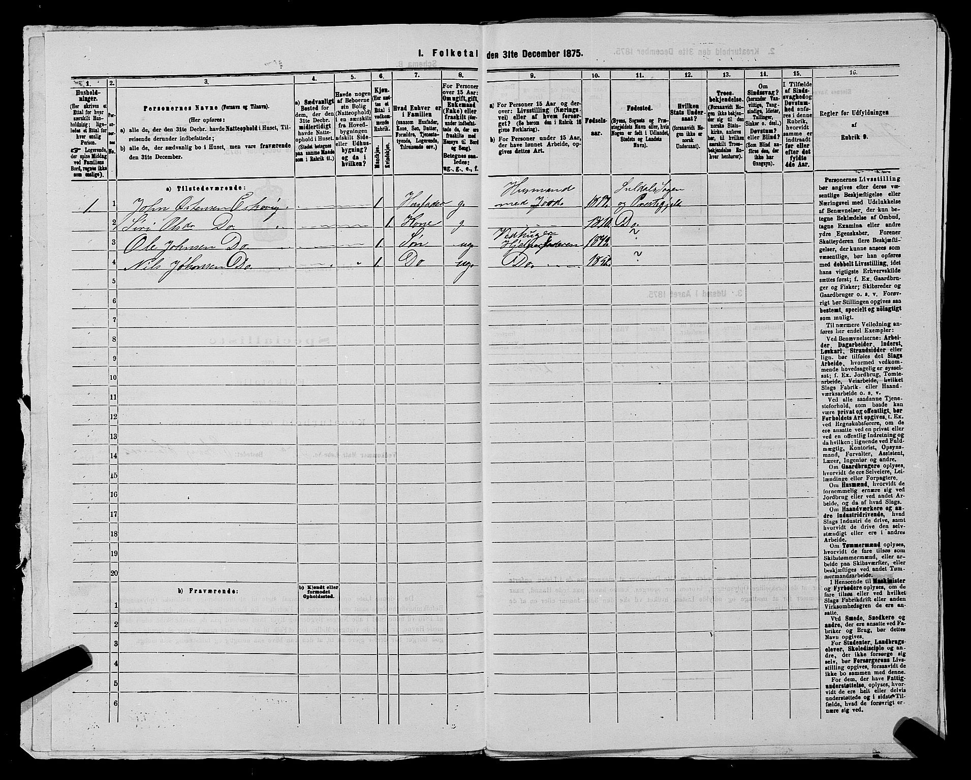 SAST, 1875 census for 1138P Jelsa, 1875, p. 119