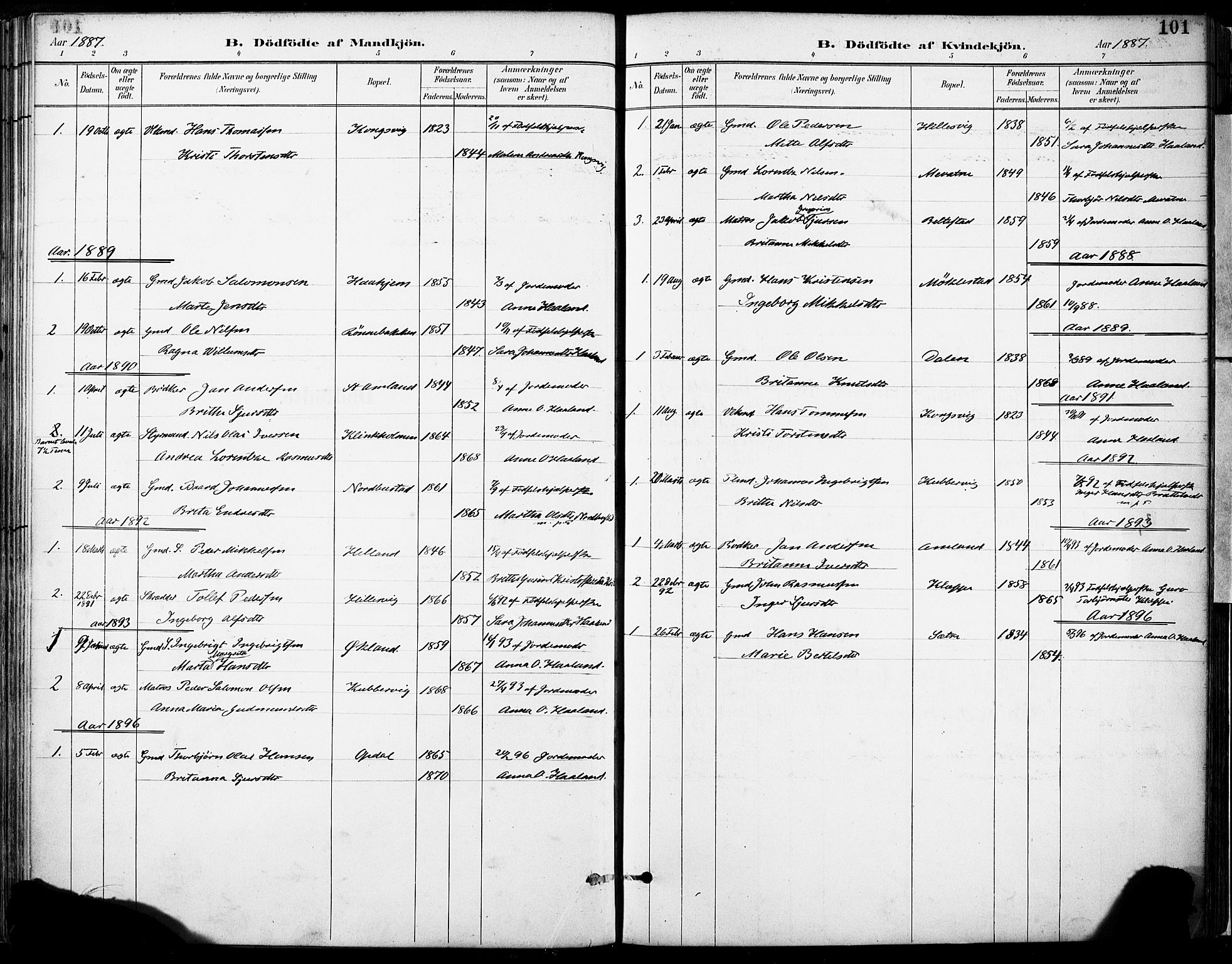 Tysnes sokneprestembete, AV/SAB-A-78601/H/Haa: Parish register (official) no. D 1, 1887-1904, p. 101