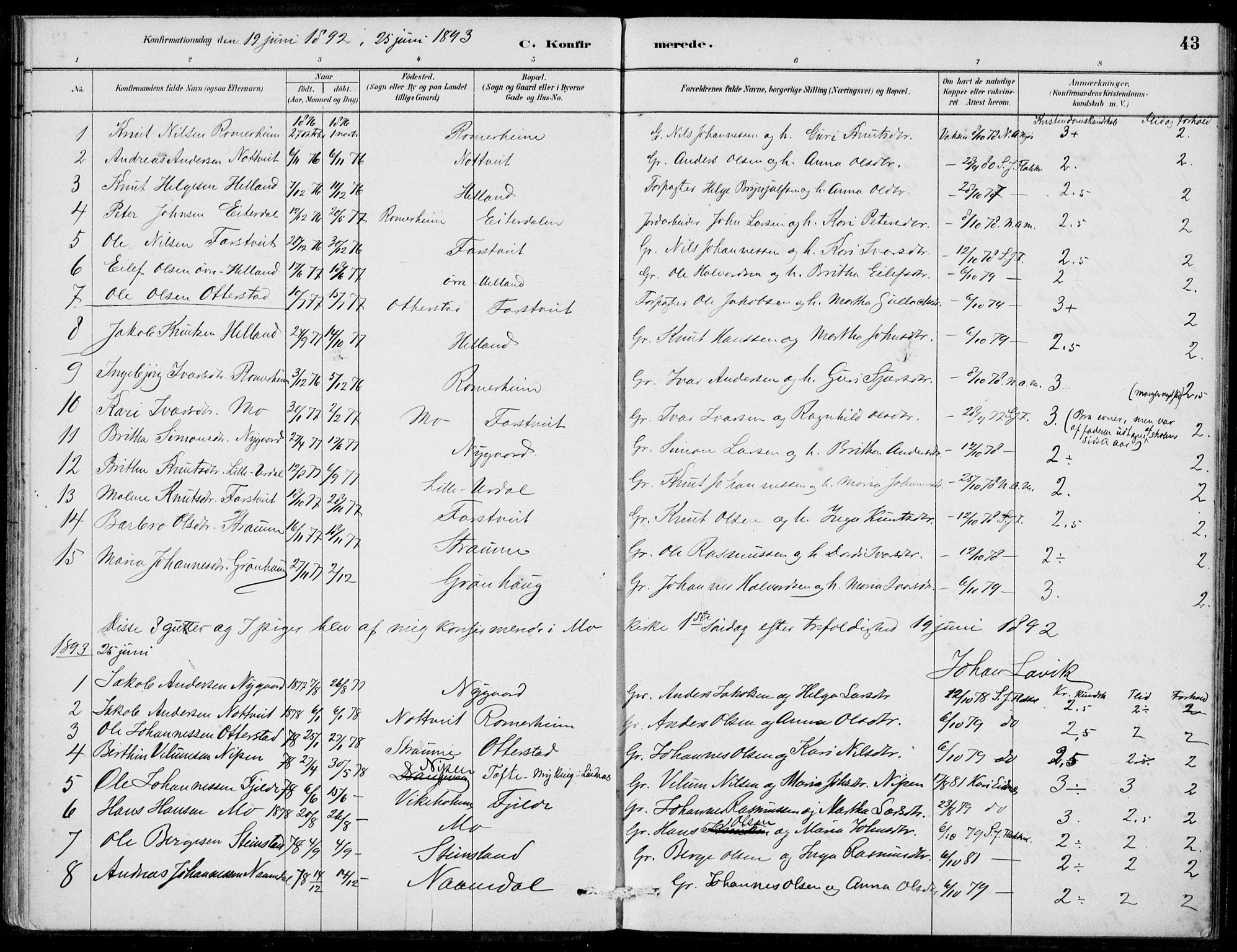 Hosanger sokneprestembete, AV/SAB-A-75801/H/Haa: Parish register (official) no. C  1, 1880-1900, p. 43
