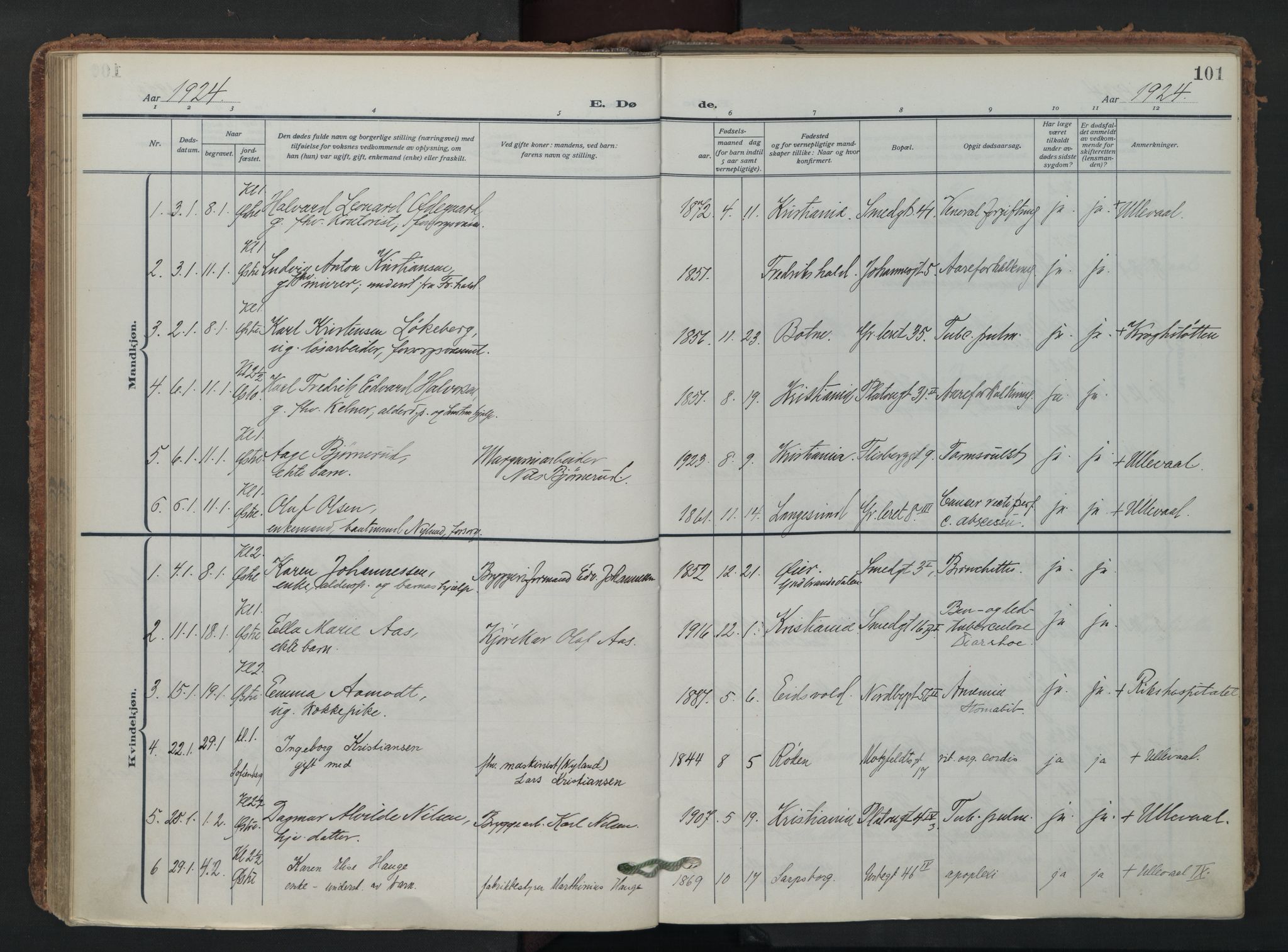 Grønland prestekontor Kirkebøker, SAO/A-10848/F/Fa/L0019: Parish register (official) no. 19, 1918-1938, p. 101