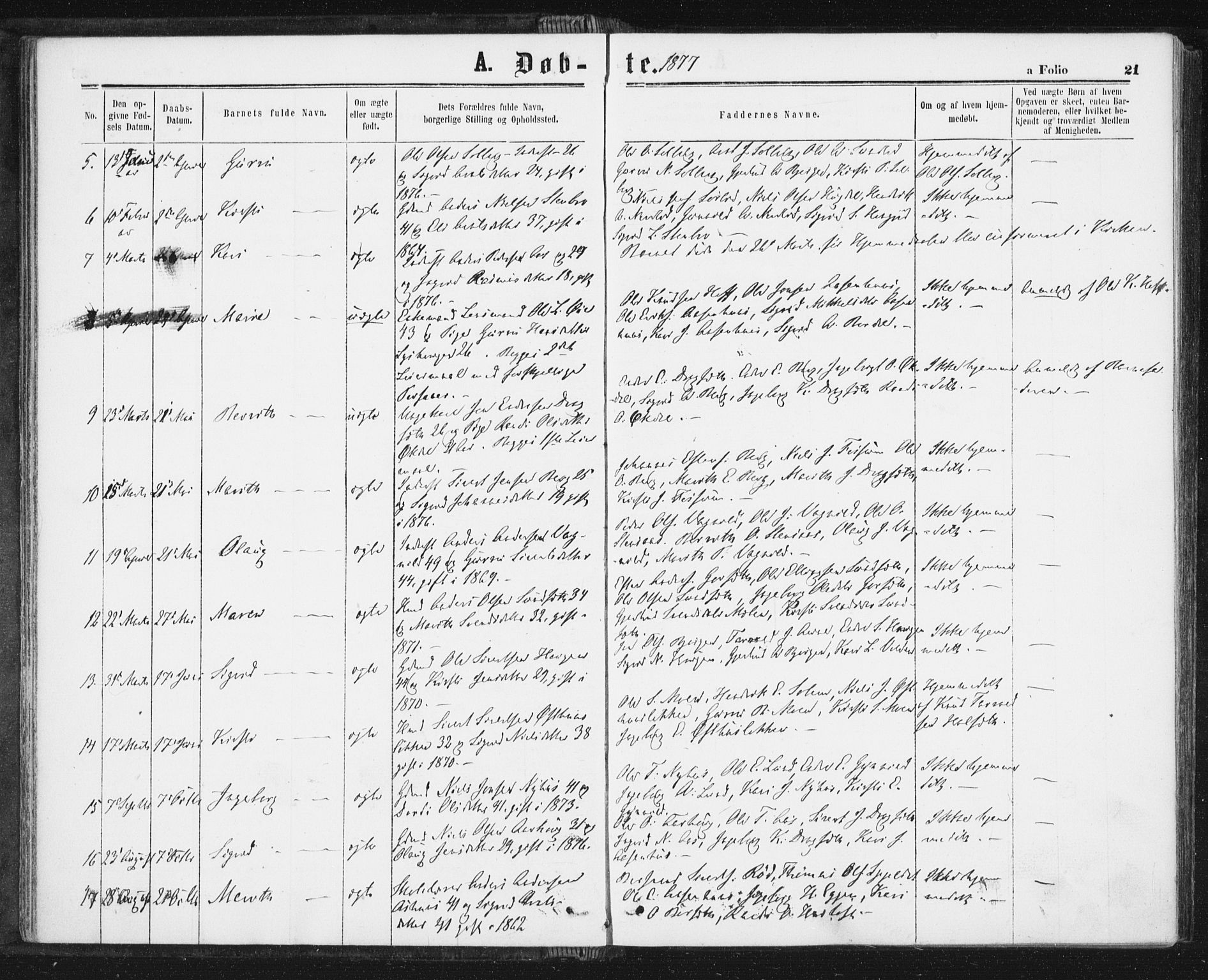 Ministerialprotokoller, klokkerbøker og fødselsregistre - Sør-Trøndelag, AV/SAT-A-1456/689/L1039: Parish register (official) no. 689A04, 1865-1878, p. 21