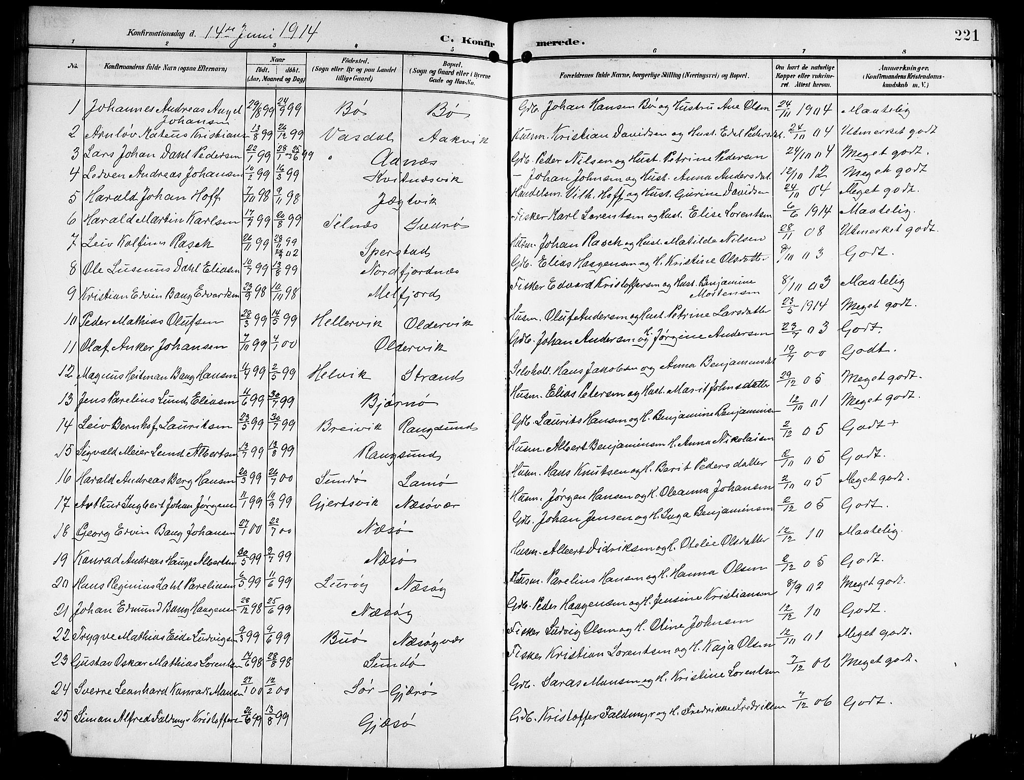Ministerialprotokoller, klokkerbøker og fødselsregistre - Nordland, SAT/A-1459/841/L0621: Parish register (copy) no. 841C05, 1897-1923, p. 221