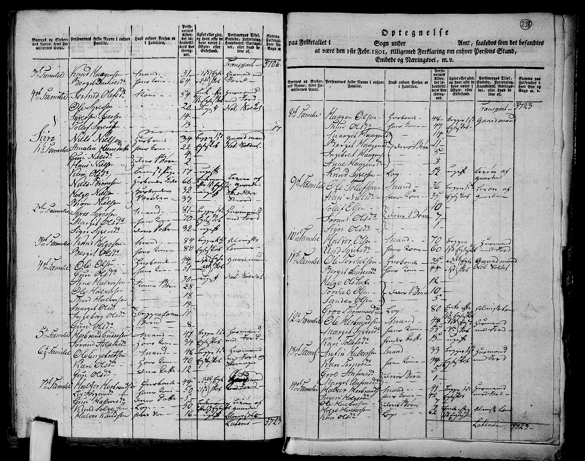 RA, 1801 census for 0619P Ål, 1801, p. 237b-238a